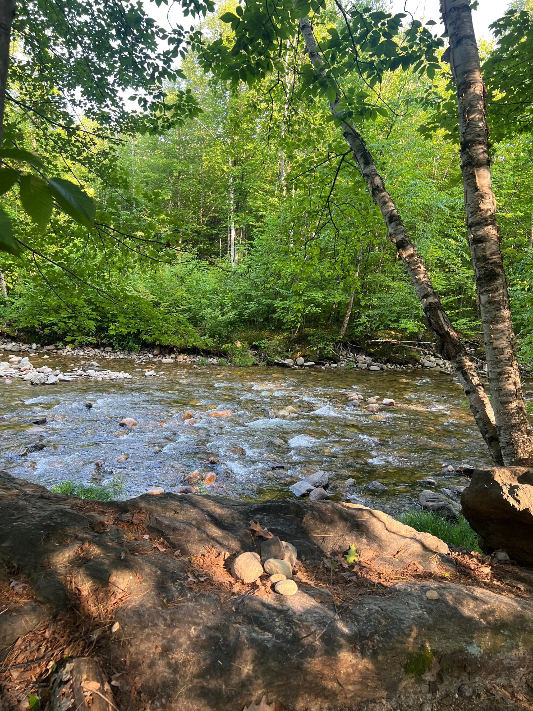 image8 (3).jpeg