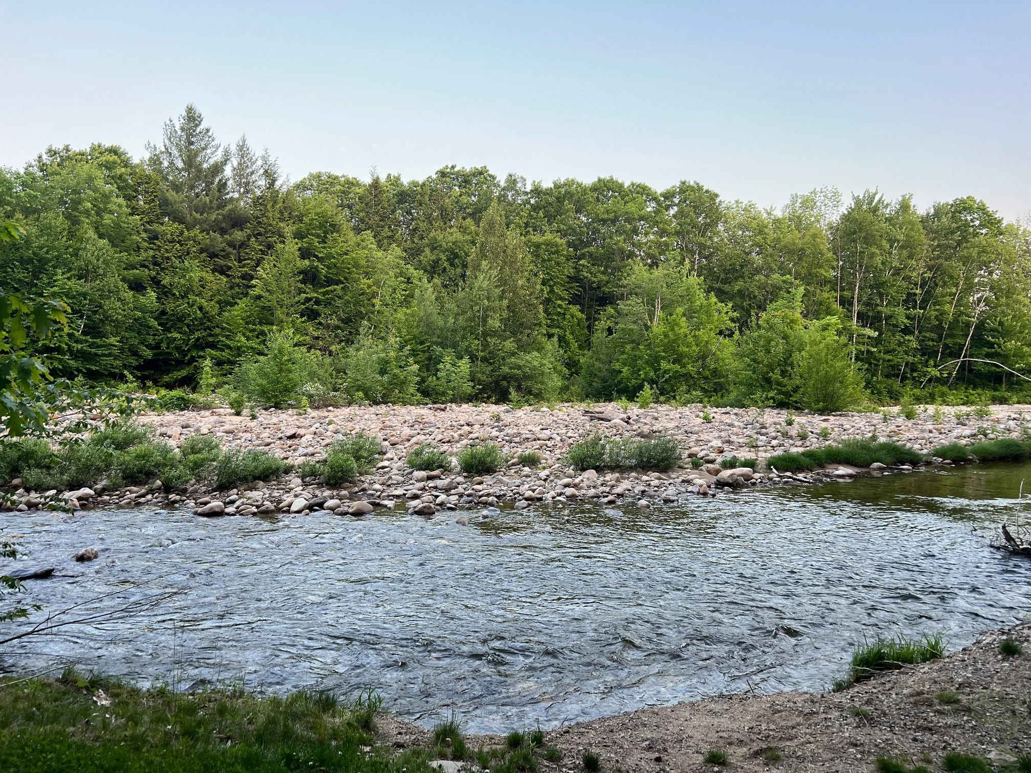 image2 (6).jpeg