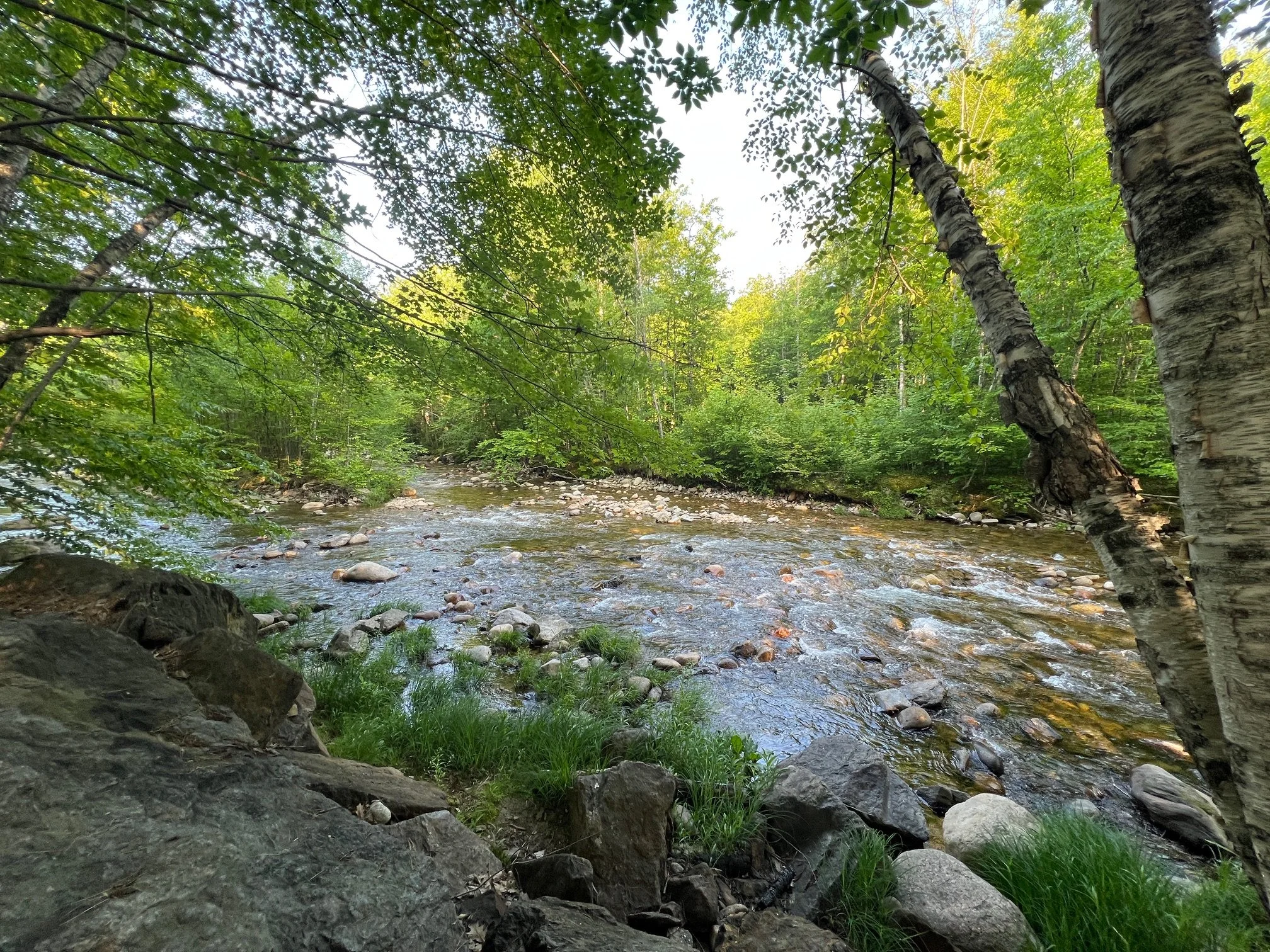 image5 (3).jpeg