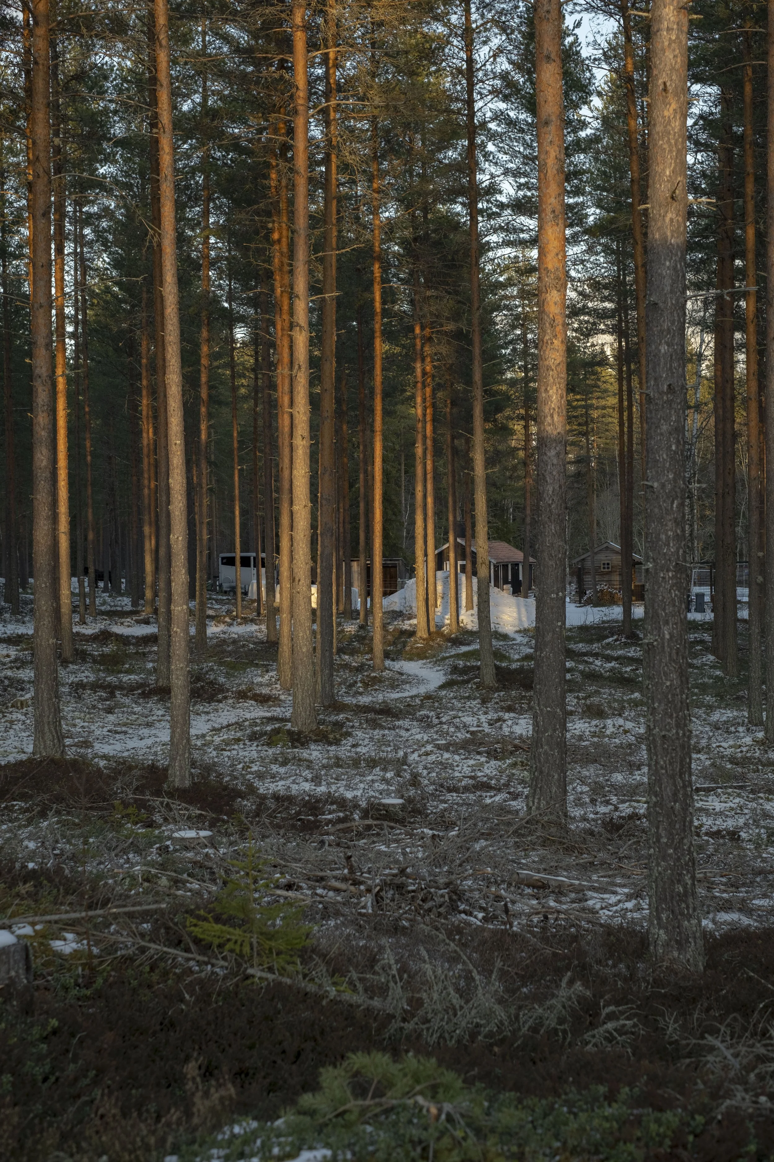 DSCF0973.jpg