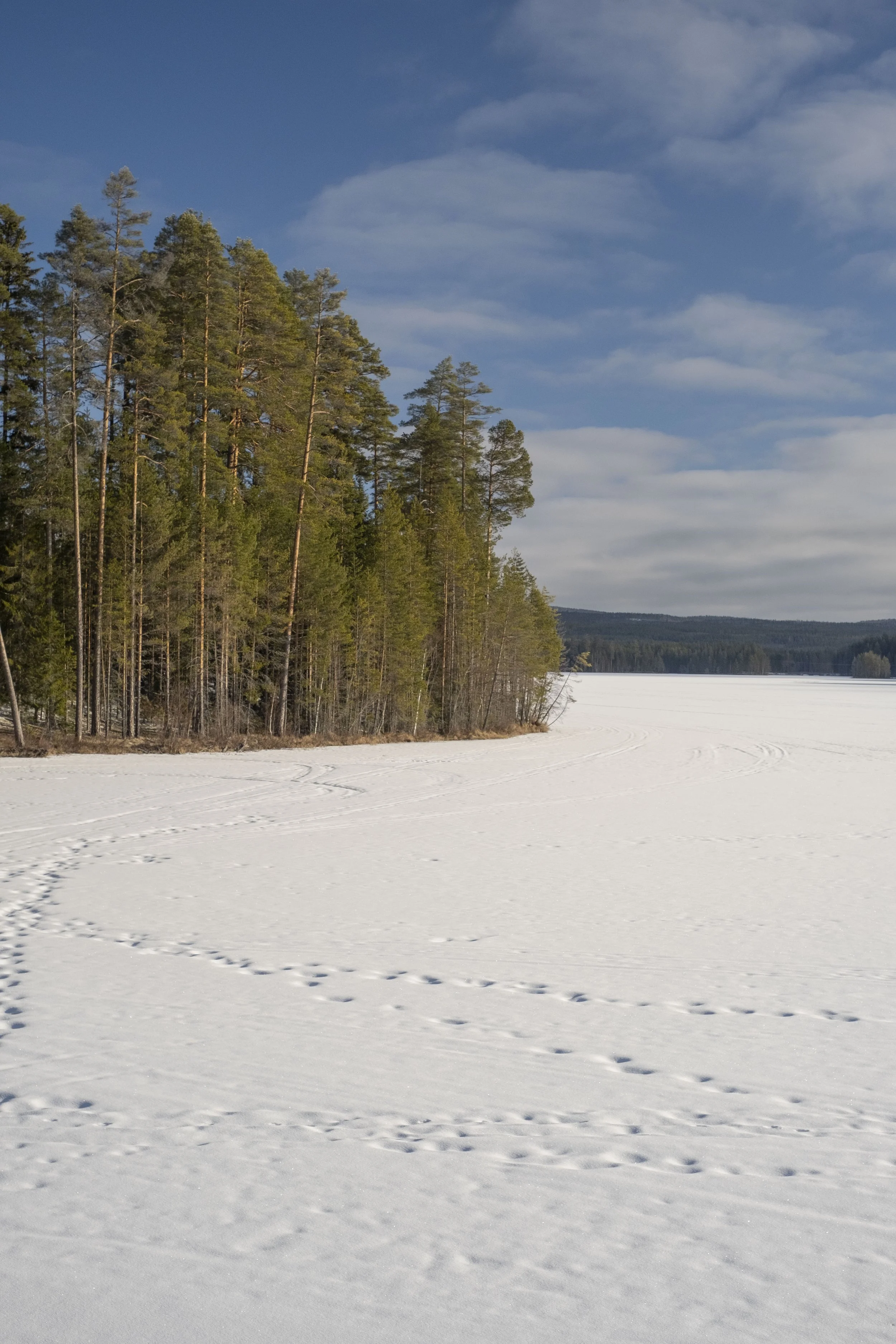 DSCF0871.jpg