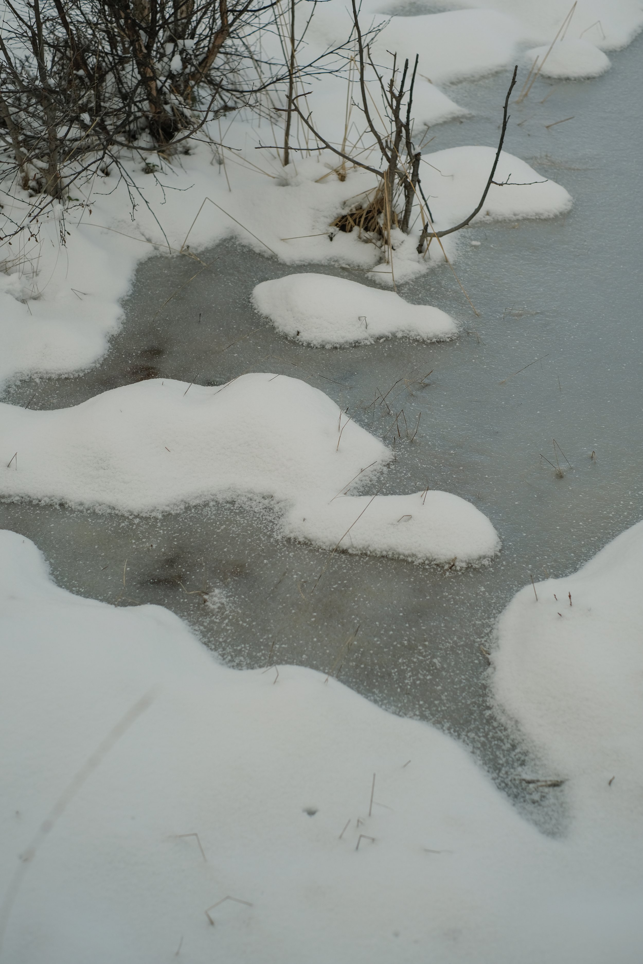 DSCF0586.jpg