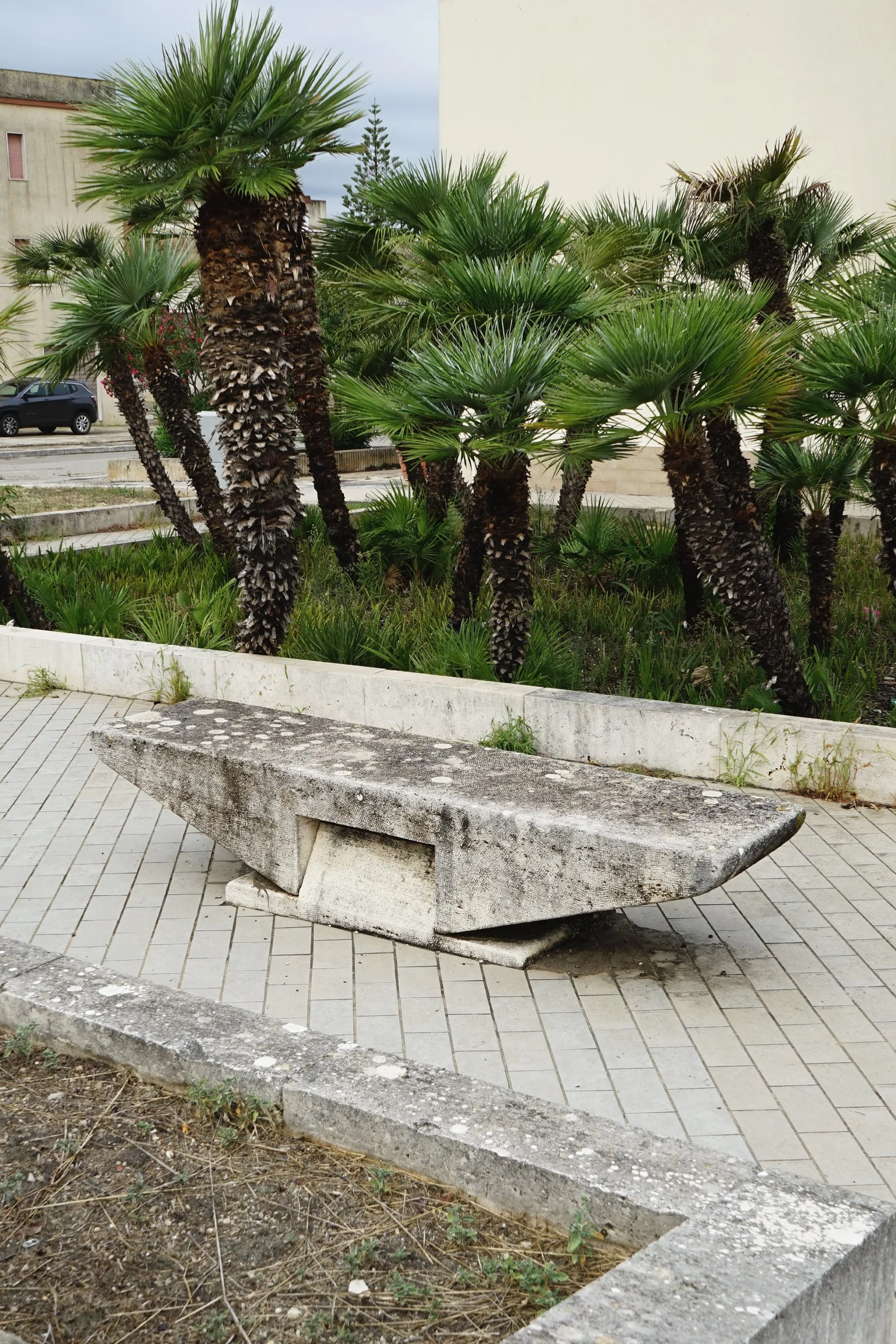 7 BENCHES.JPG