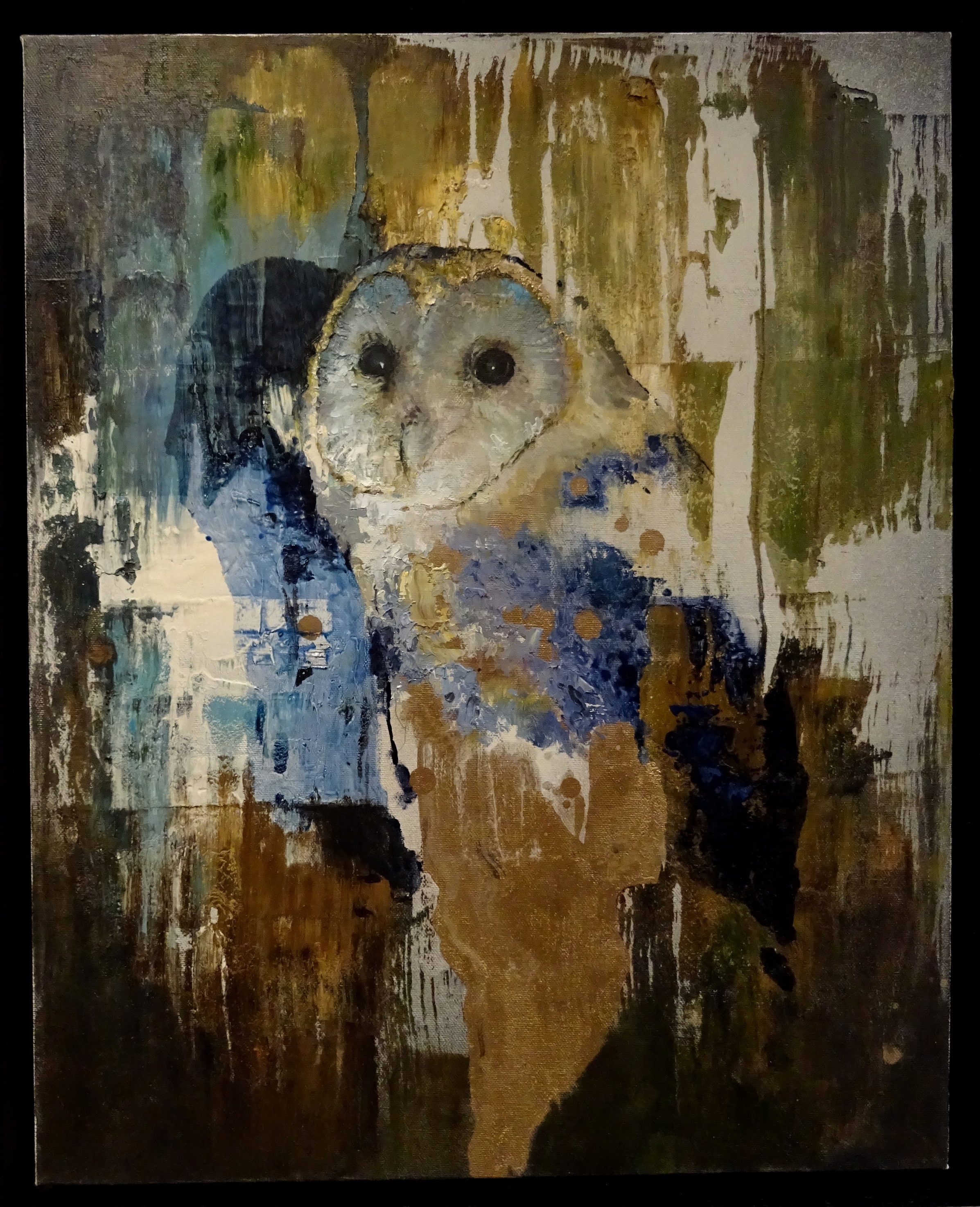  Owl | 50 x 40cm 