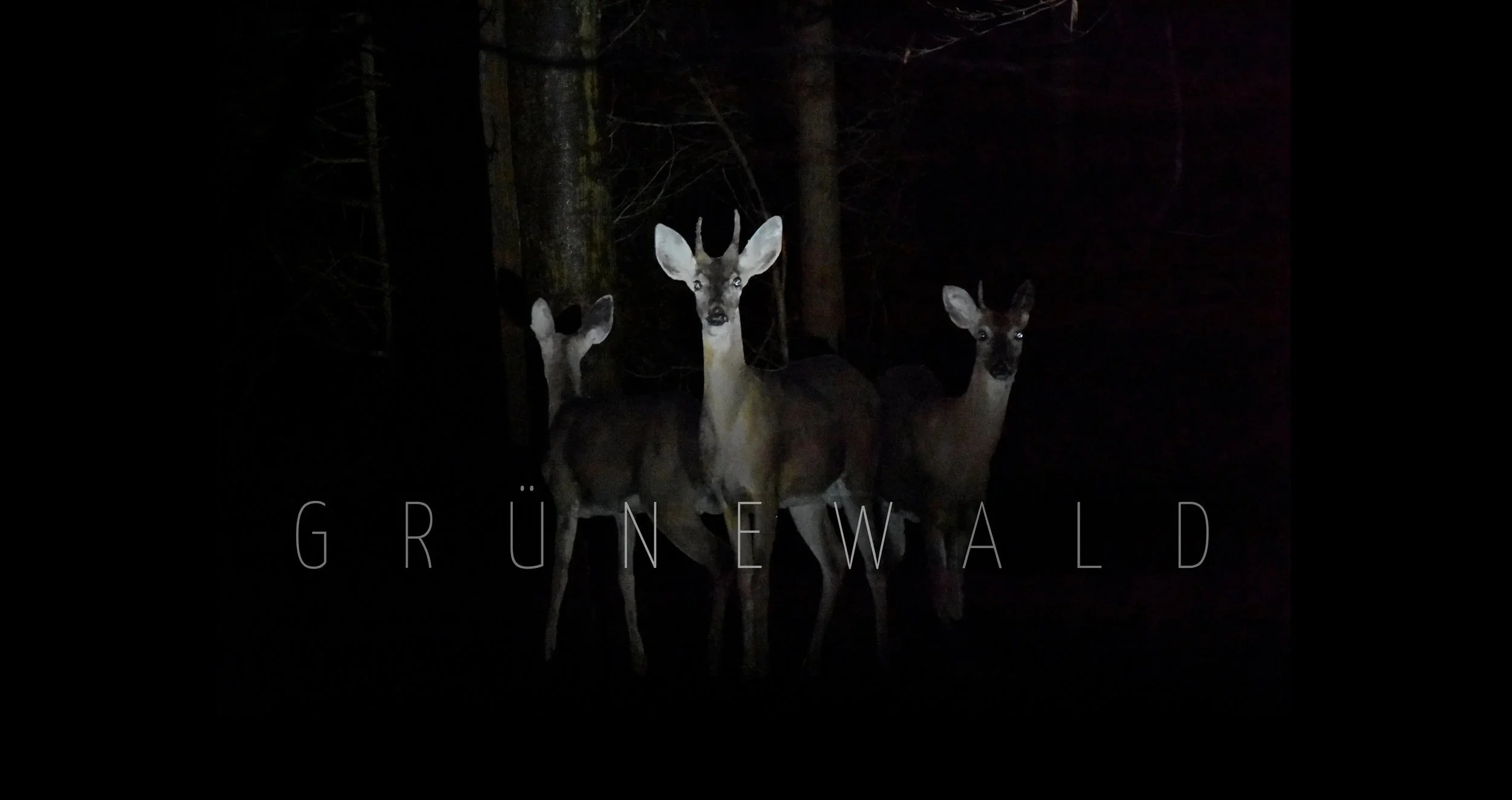 Three Deer - Fintan Switzer