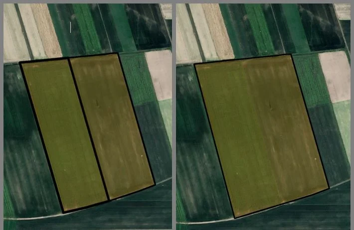 Merged_Field.jpg