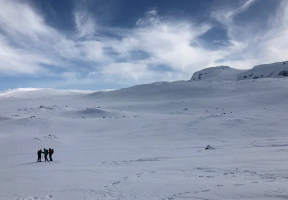 Fince-Wilderness.jpg
