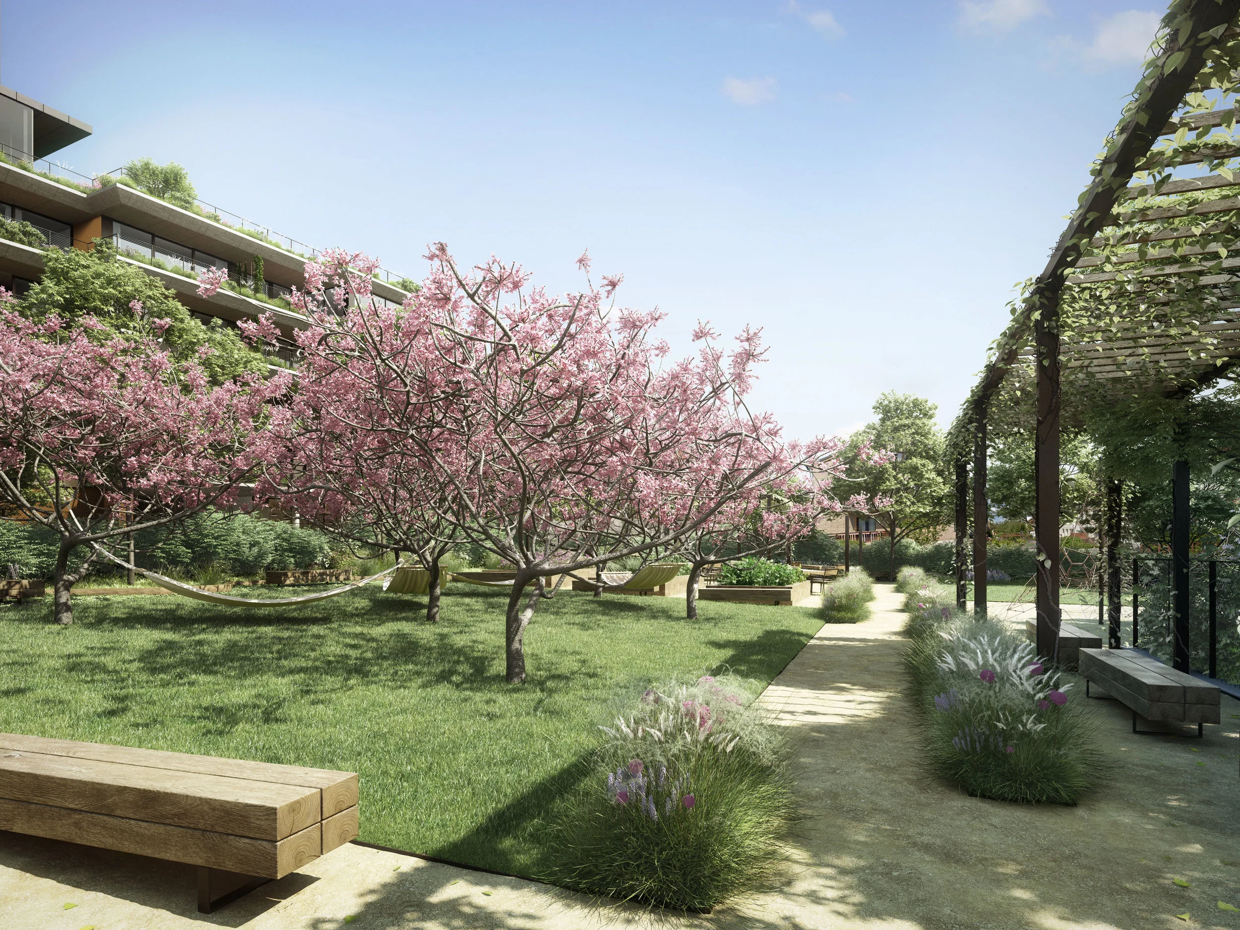 CAM25_top_estate_sakura_0014.jpg
