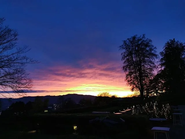 The Sorell Hotel Z&uuml;richberg-Team wishes you a wonderful new year's eve with your friends and family 🎆 we say &quot;thank you&quot; to everyone who visited us and to the whole team for the good work! All the best for 2020!
📸 by @el.pharaonenint