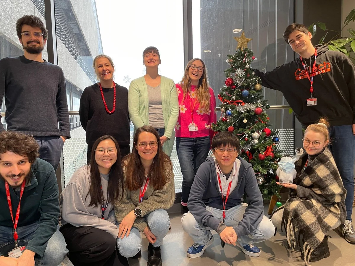 NEWS: Happy Holidays from the Spagnoli Lab!