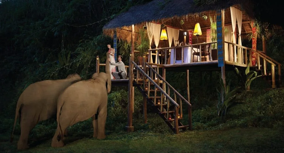 Entre elefantes en el Anantara Golden Triangle Elephant Camp & Resort