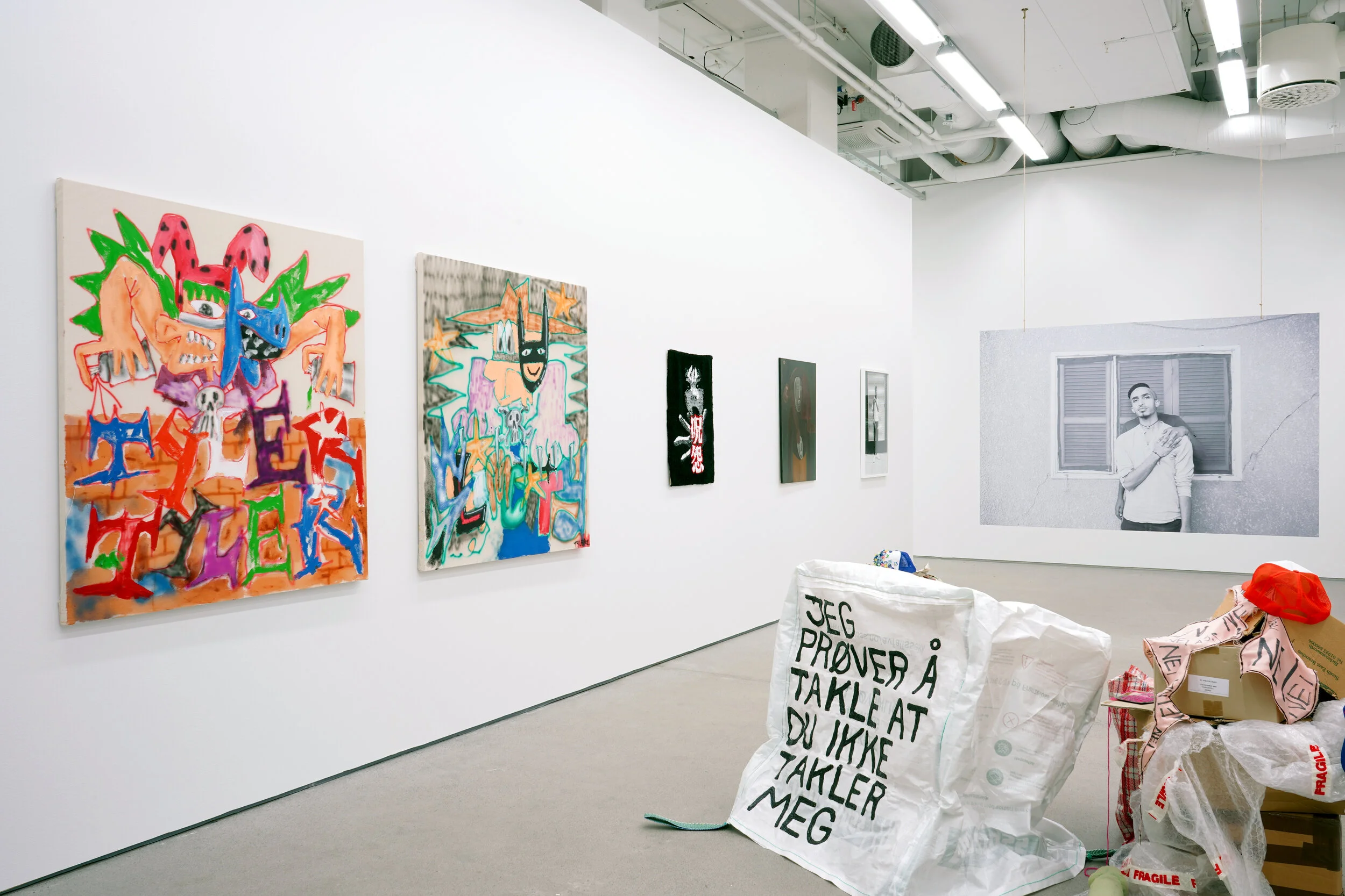 Installasjonsfoto. Foto: Kunsthall Oslo.