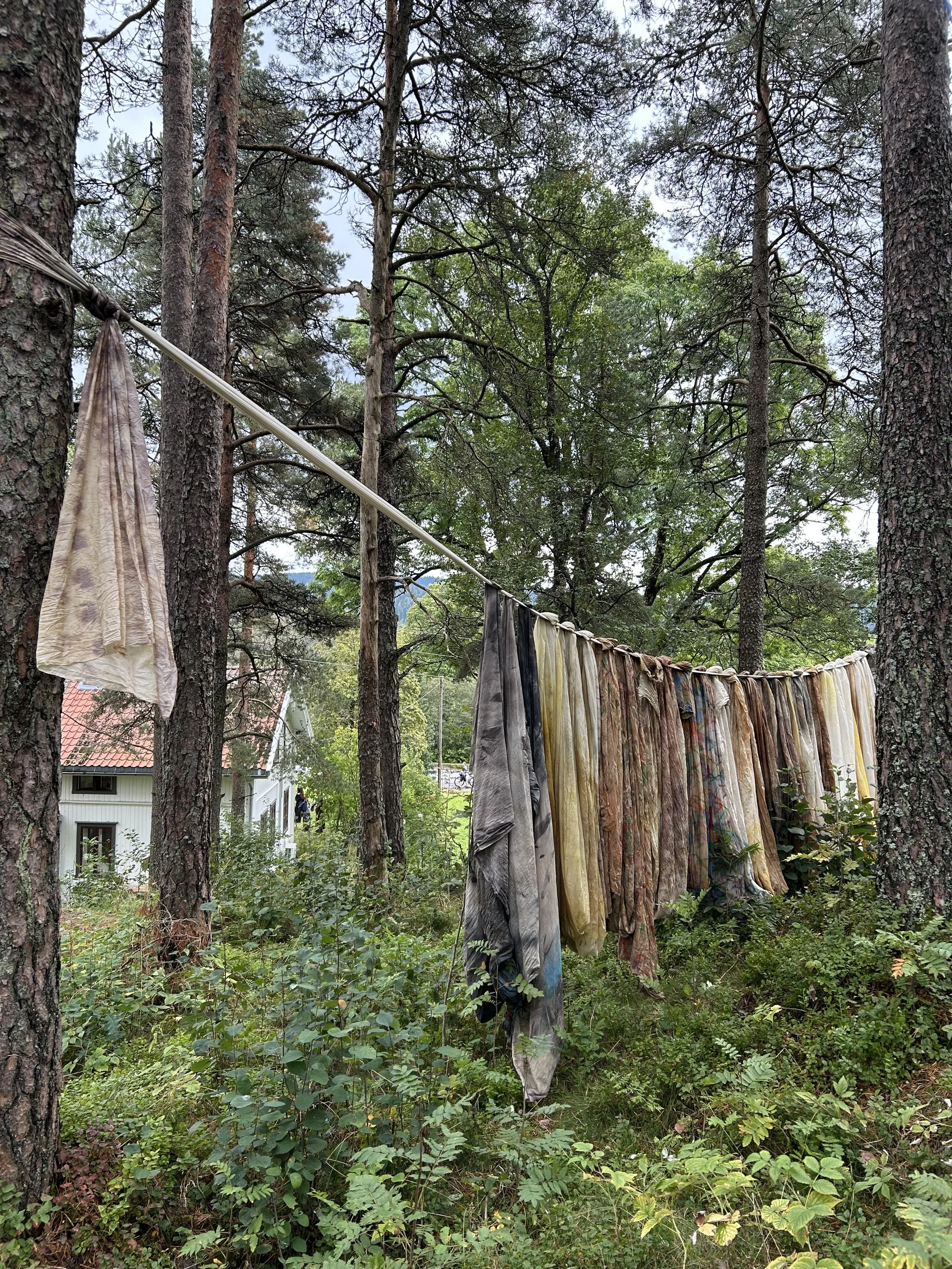 En kunstopplevelse som gror på deg