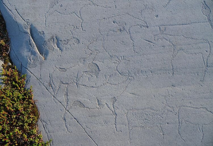 Møter med fortiden: Helleristningene i Alta