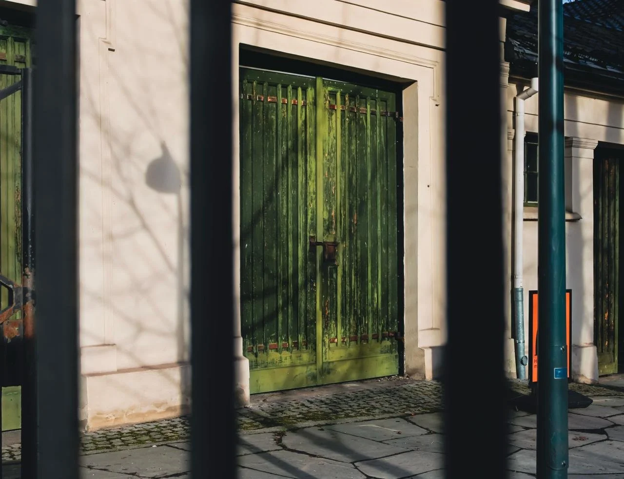 photo_2026-04-08 23.32.00.jpeg