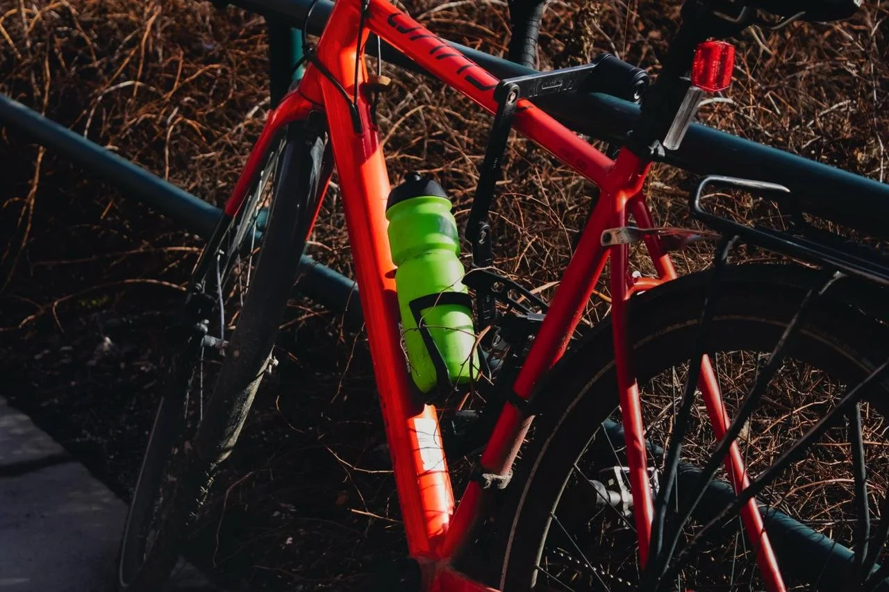 photo_2026-04-08 23.32.03.jpeg