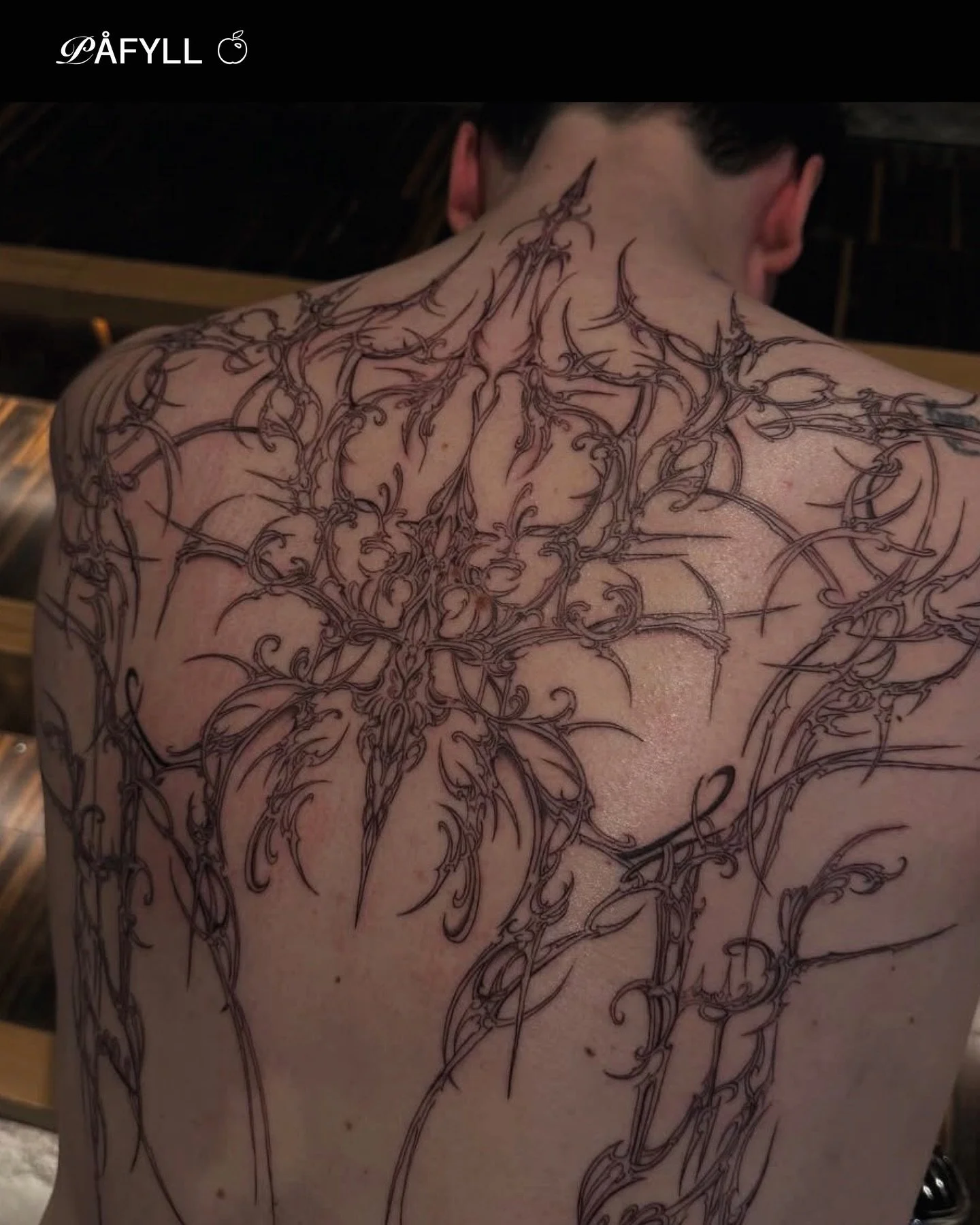 P&aring;fyll - Kunst p&aring; v&aring;re kropper 

Tatoveringer blir ofte forst&aring;tt som dekorasjon eller personlige uttrykk. Likevel kan de ogs&aring; leses som en selvstendig kunstpraksis &ndash; en praksis med lange historiske r&oslash;tter og