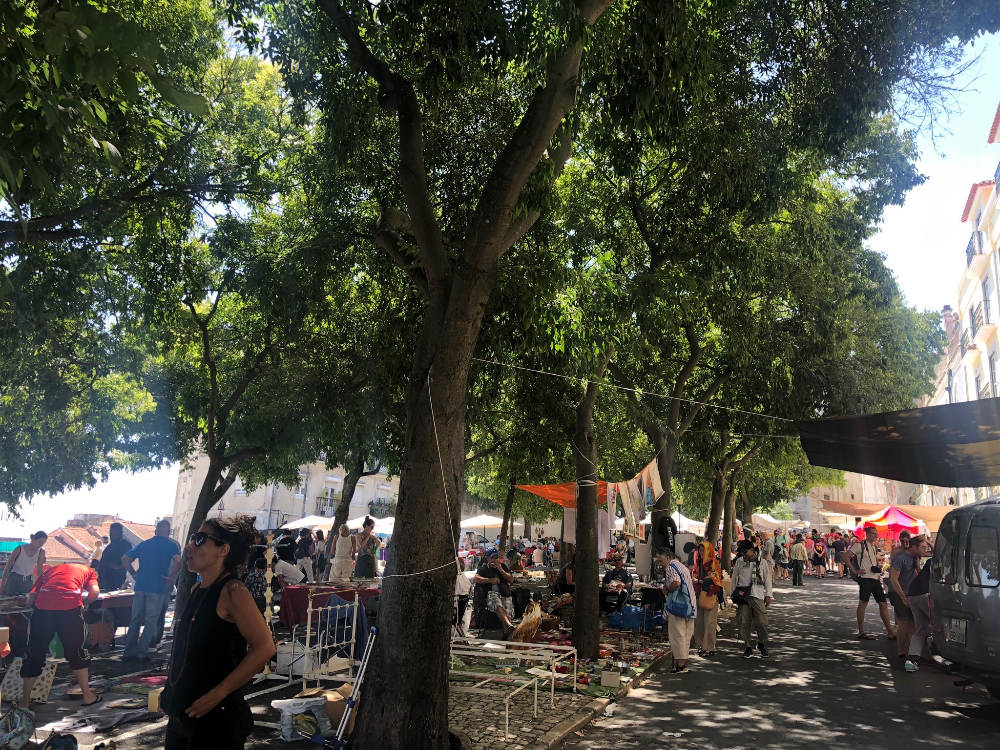 Bildet er fra Mercado de Santa Clara, en markedsdag i Lisboa