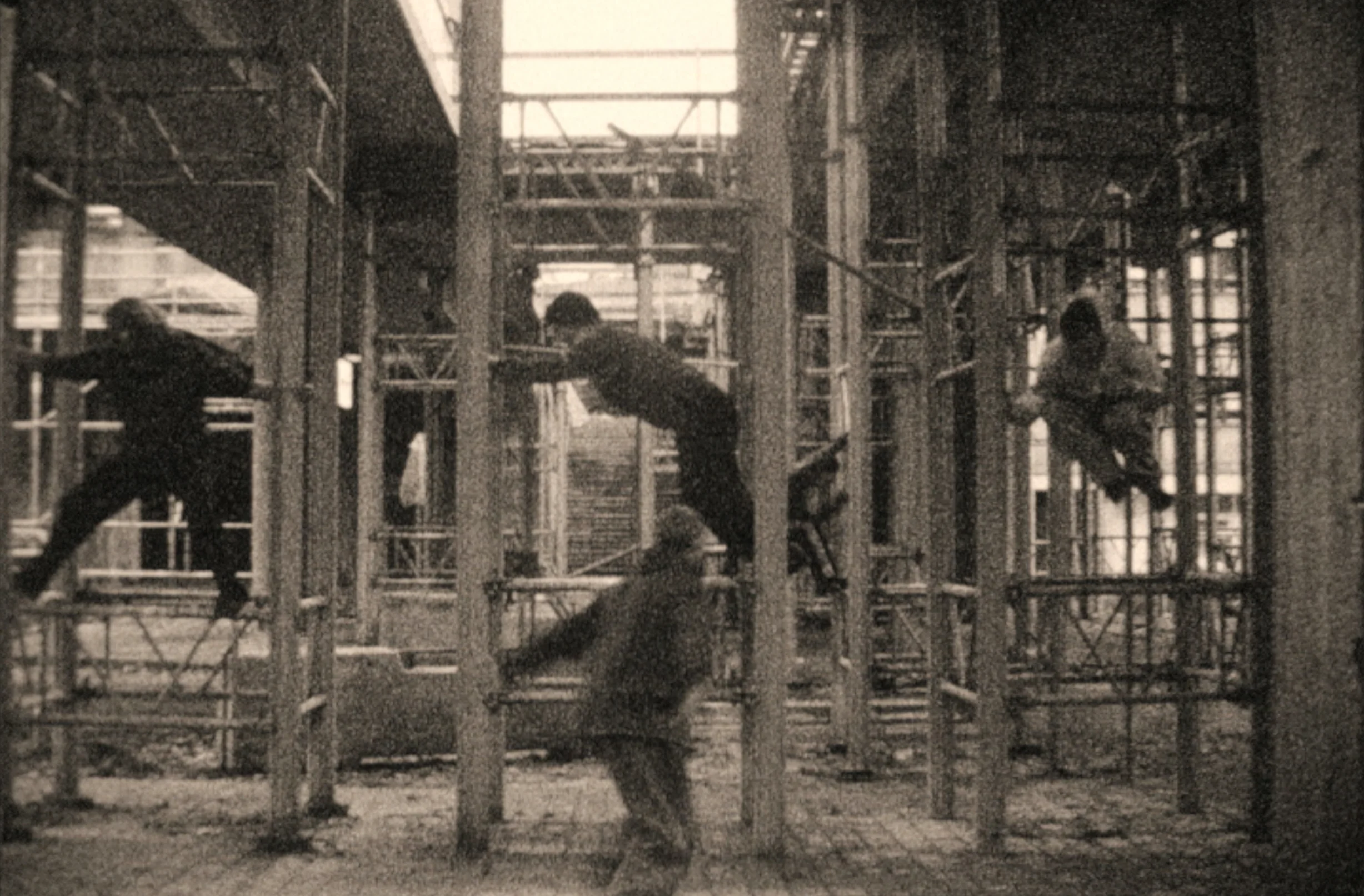 metropolis2.jpg