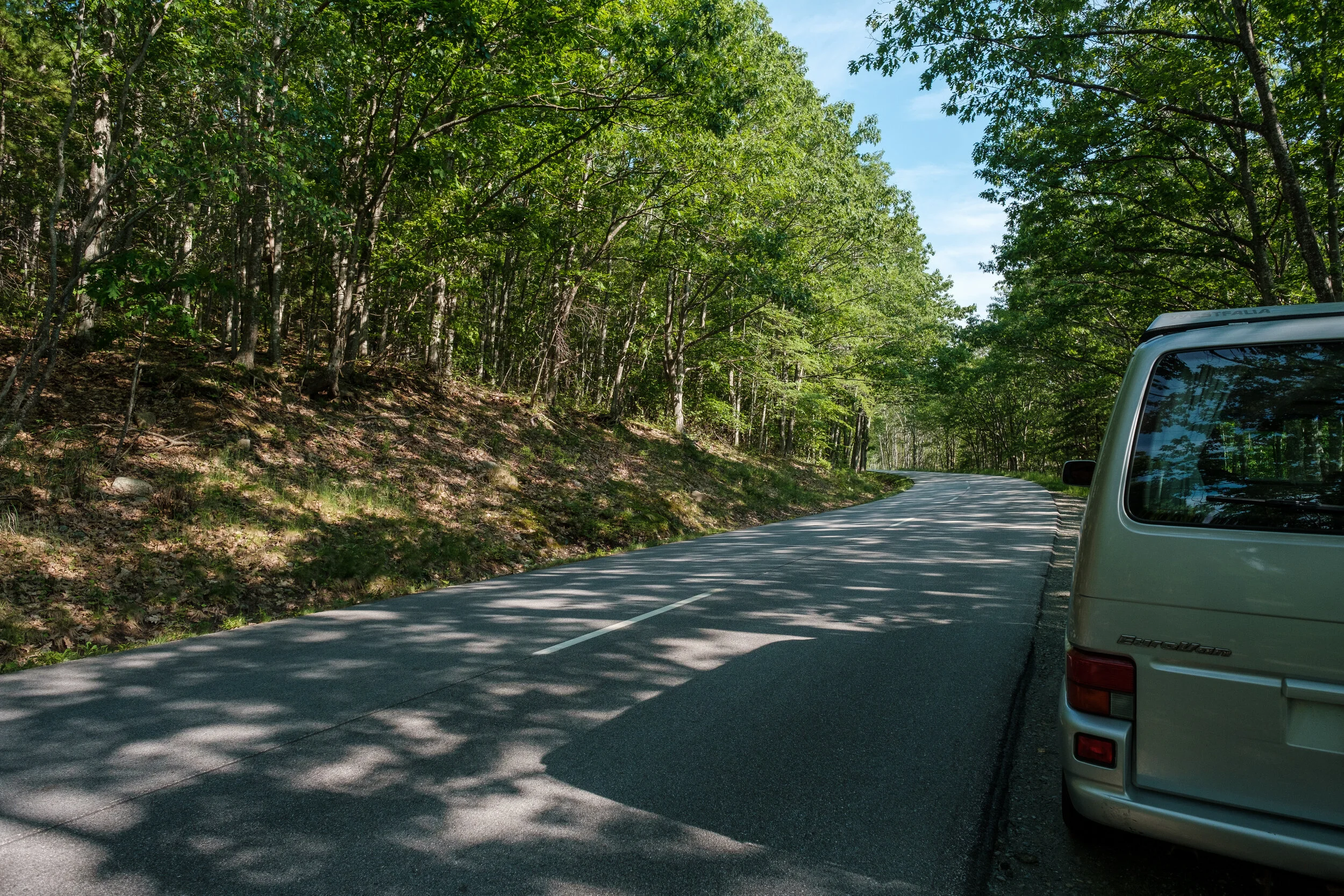 DSCF1455-2.jpg
