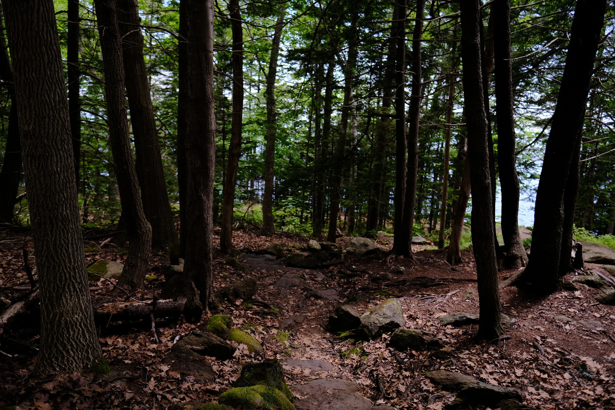 DSCF1680.JPG