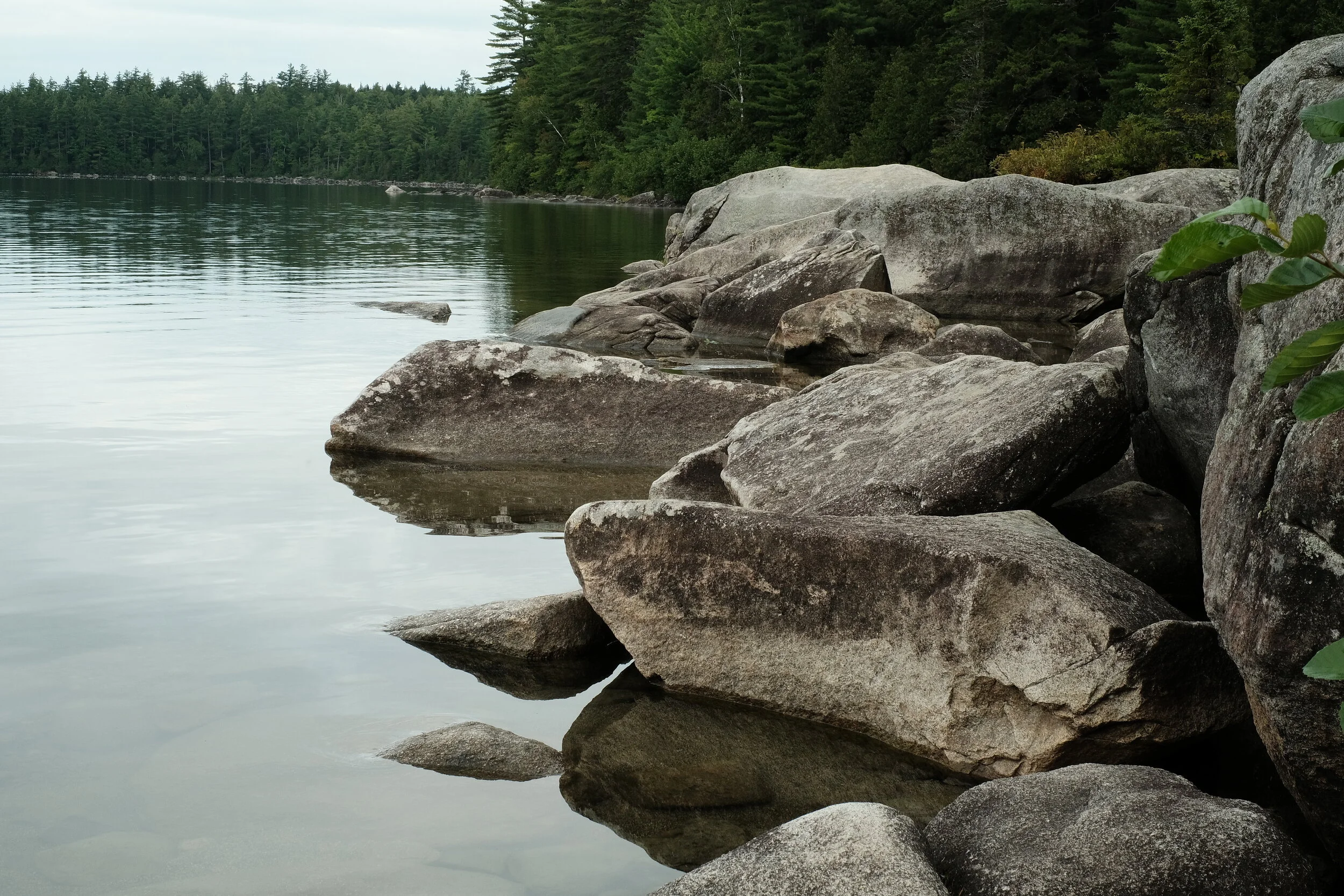 DSCF2300.JPG