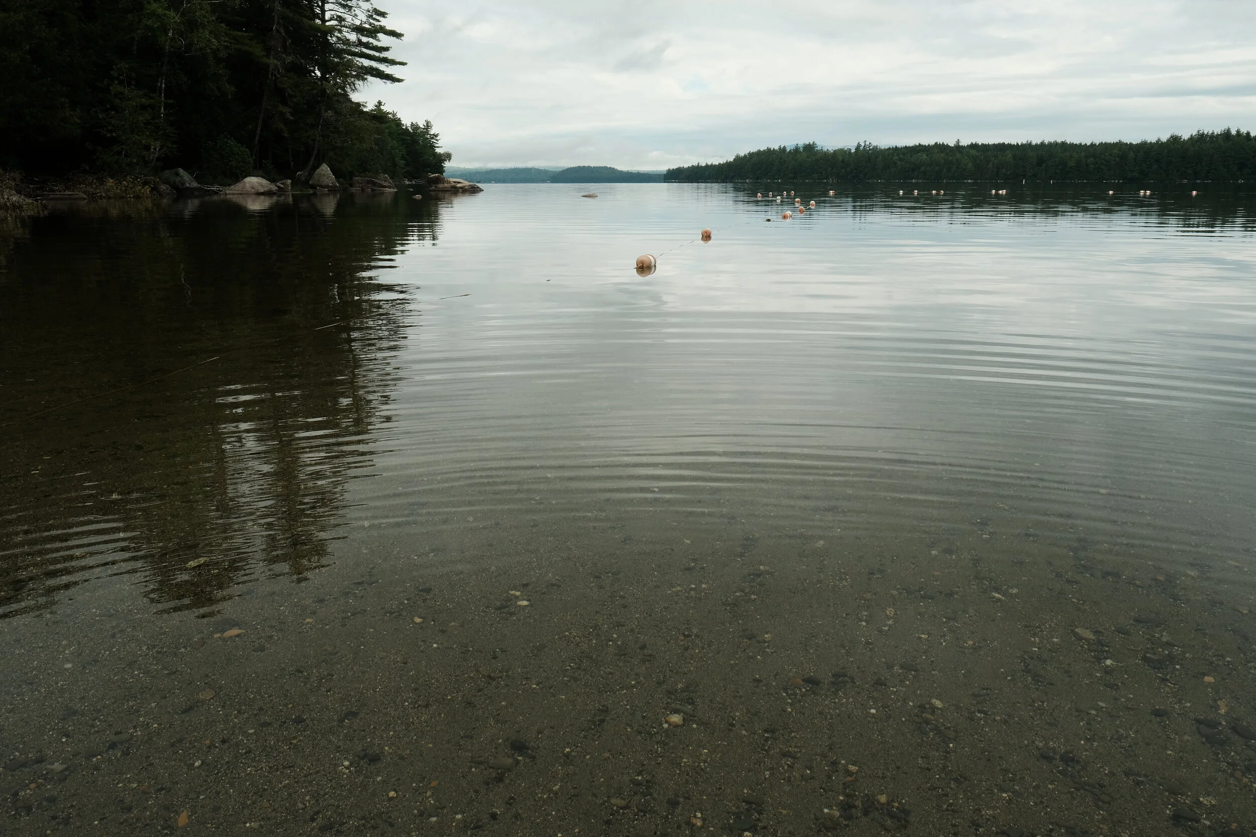 DSCF2294.JPG