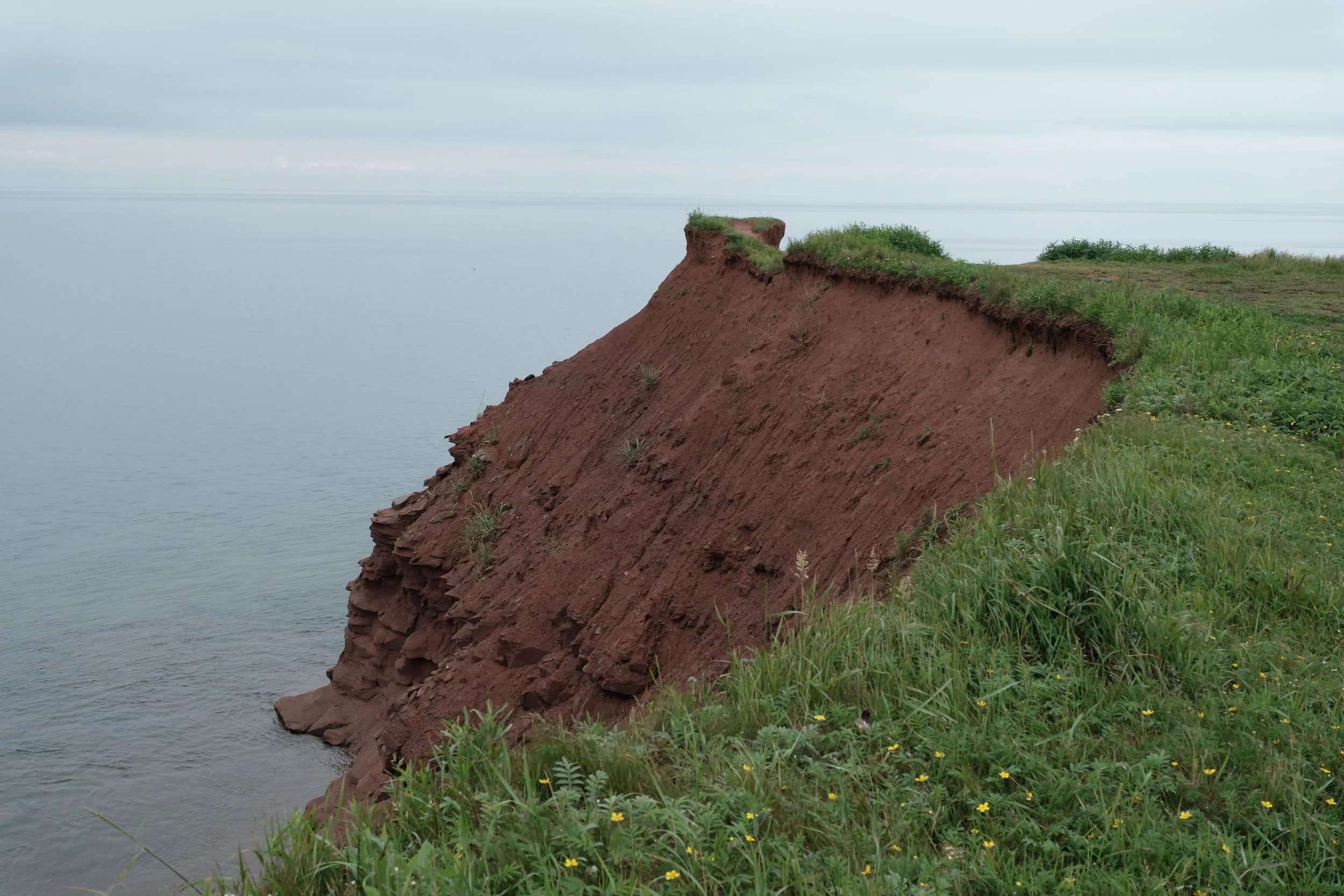 DSCF4560.JPG
