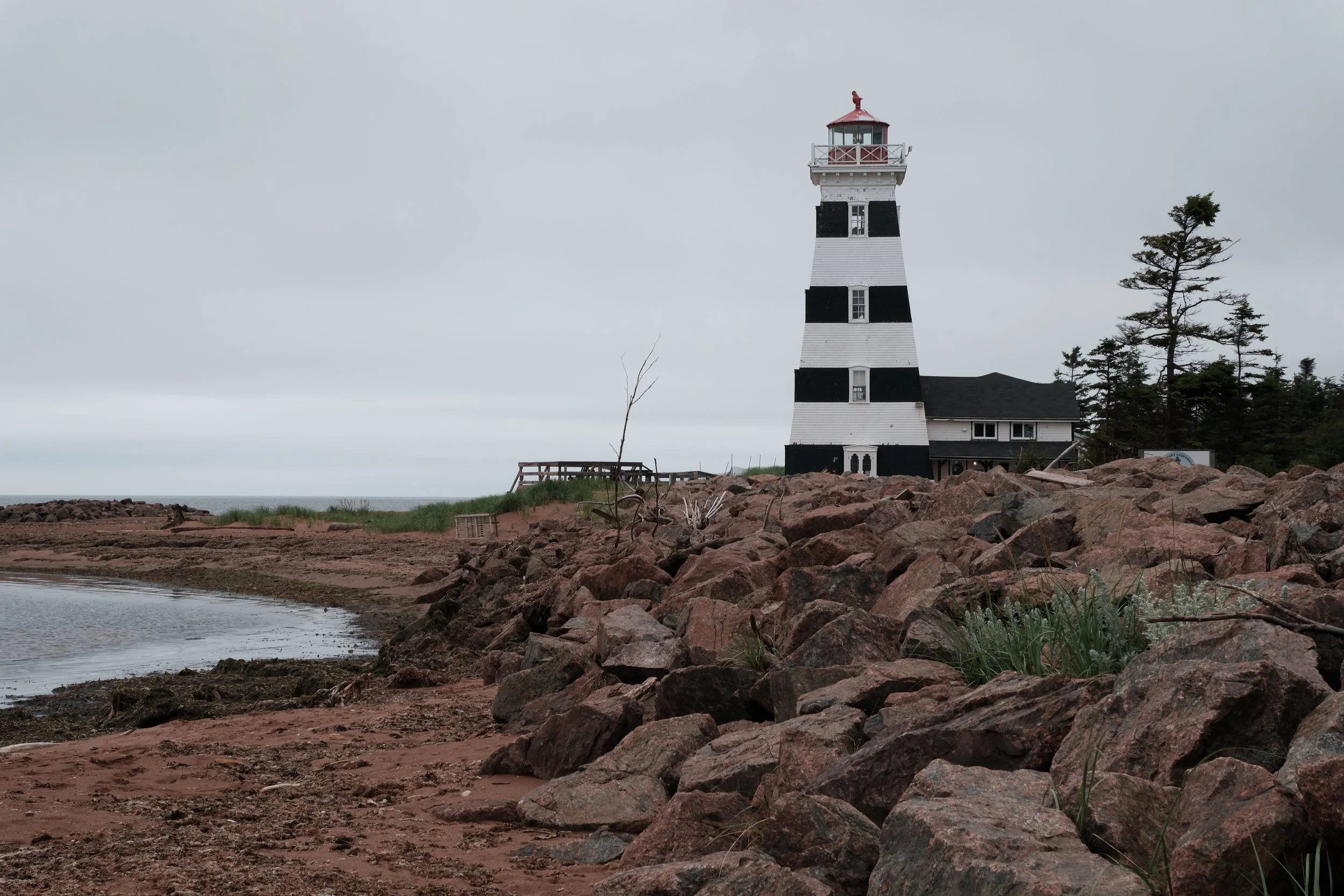 DSCF4577.JPG
