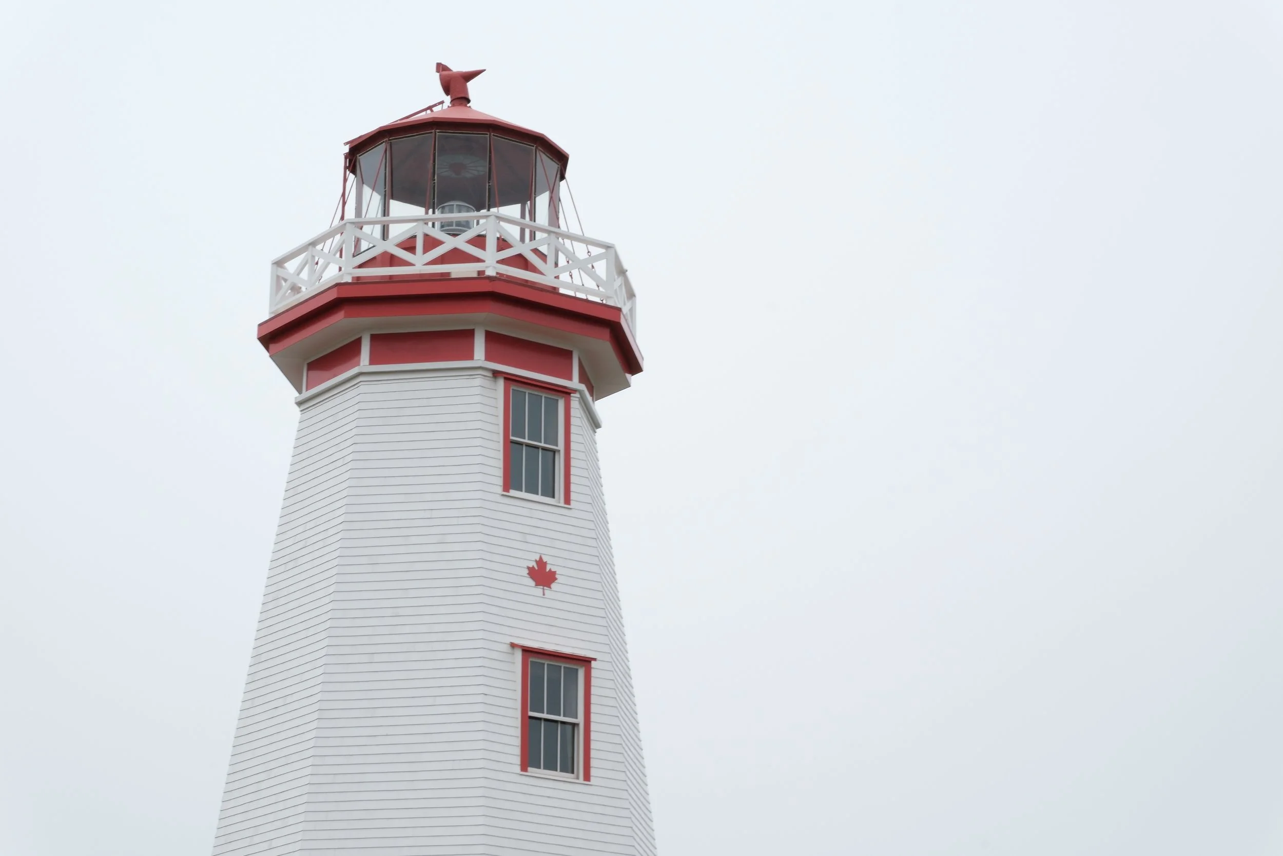 DSCF4590.JPG