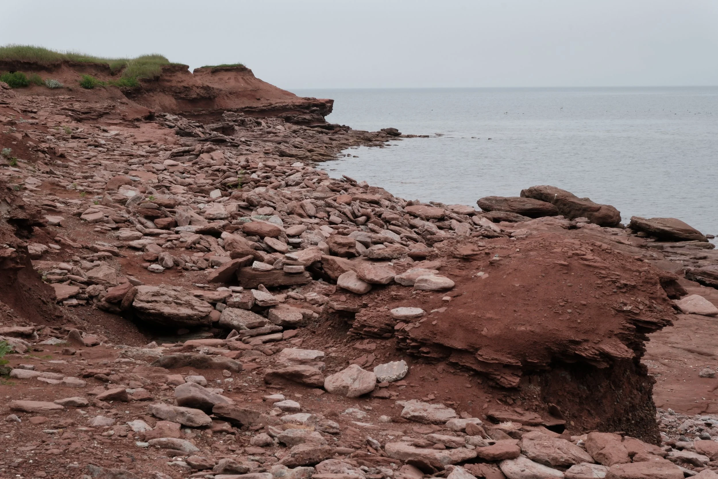 DSCF4593.JPG
