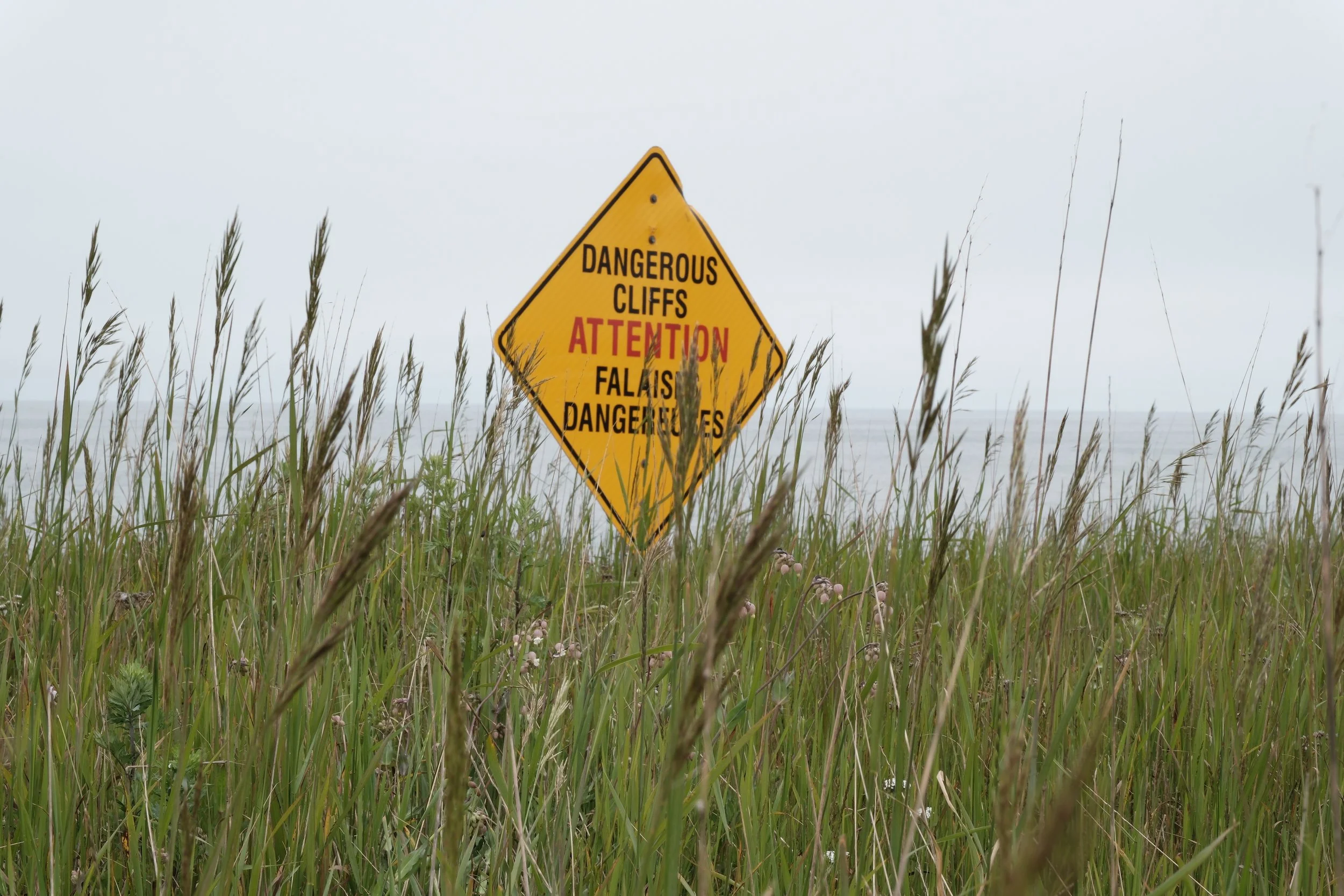 DSCF4594.JPG