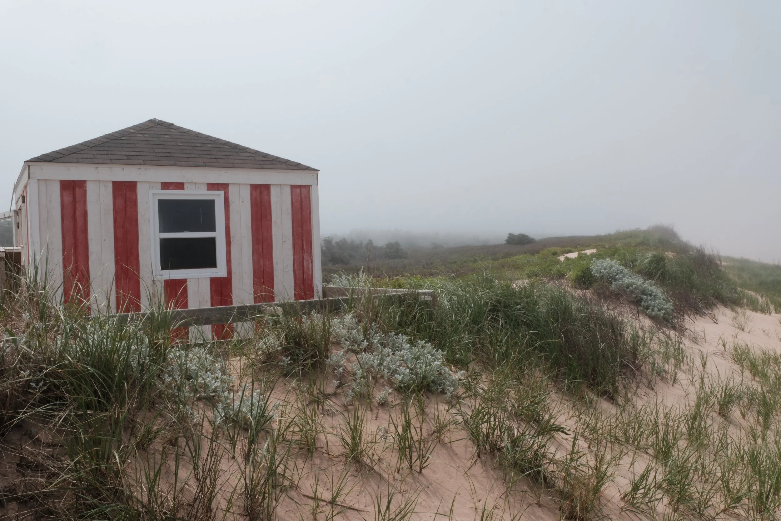 Day 5: Dunes, Lights, and Fog
