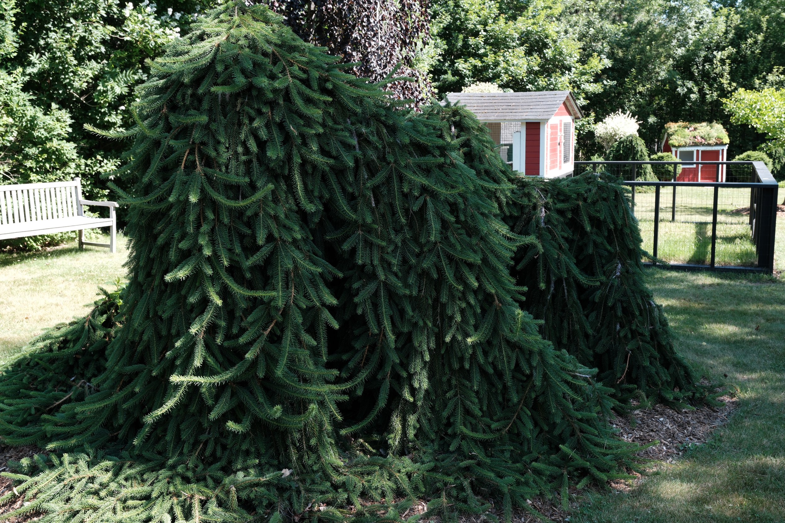 DSCF4908.JPG