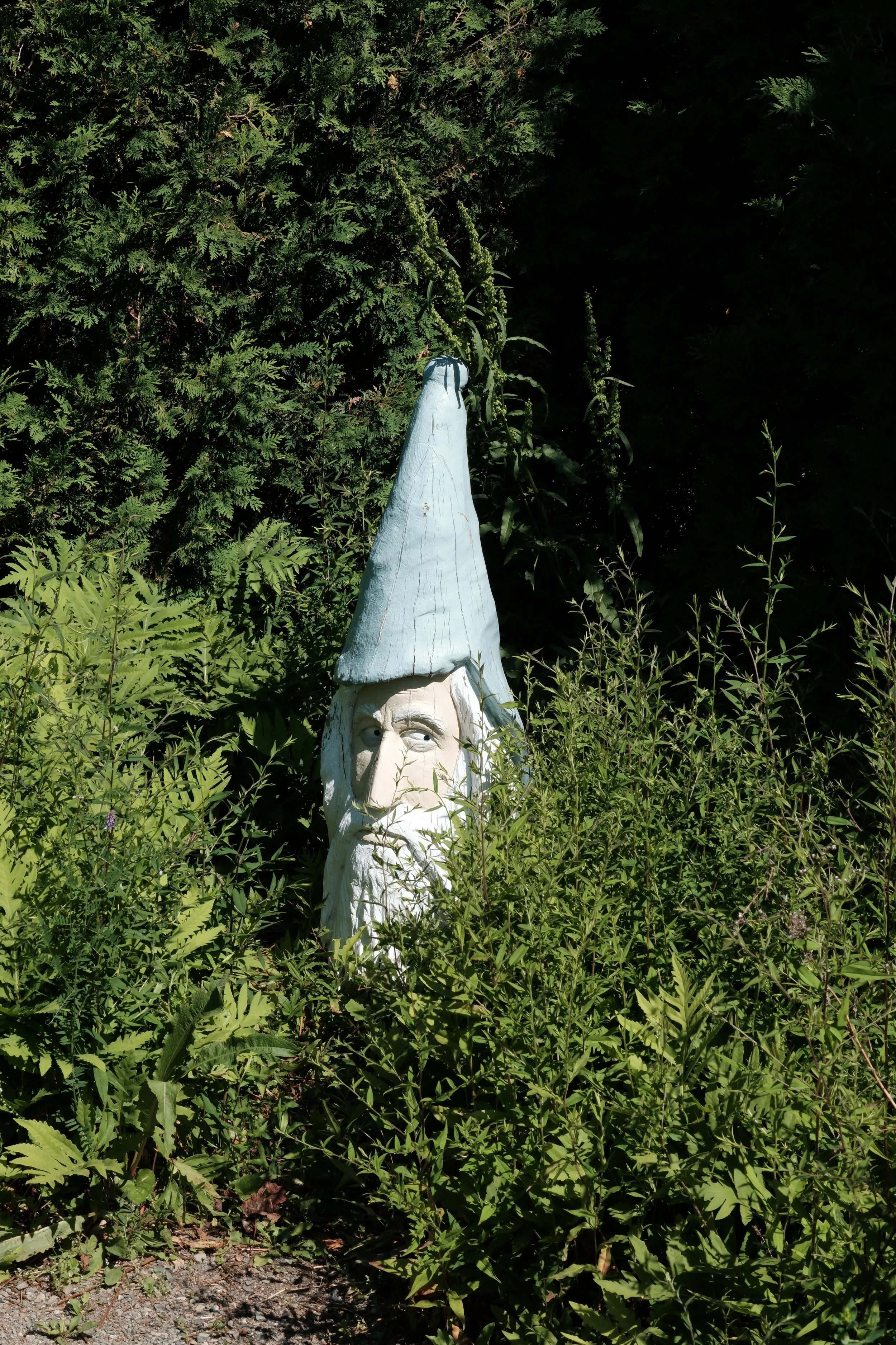 DSCF4902.JPG