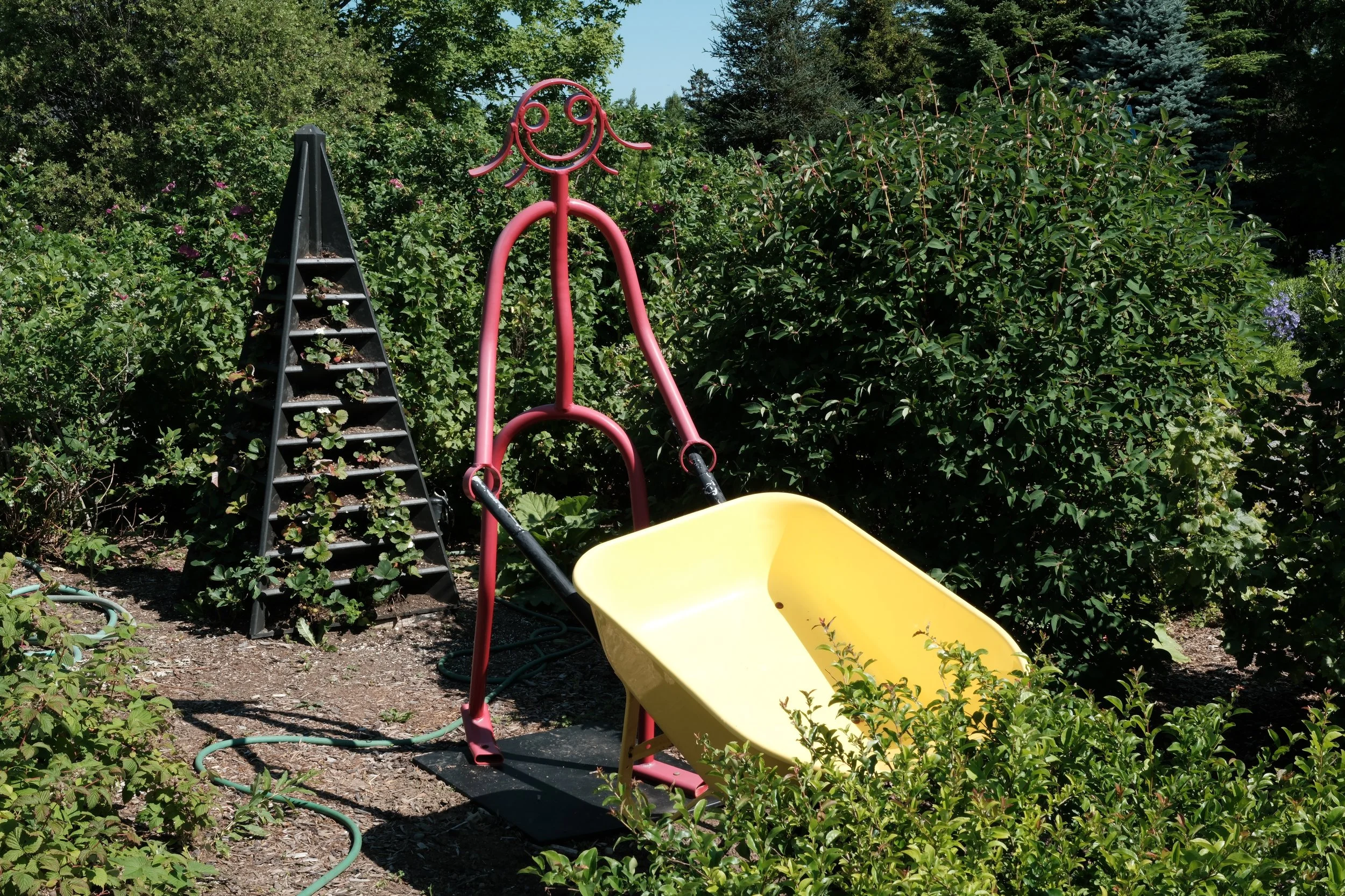 DSCF4905.JPG