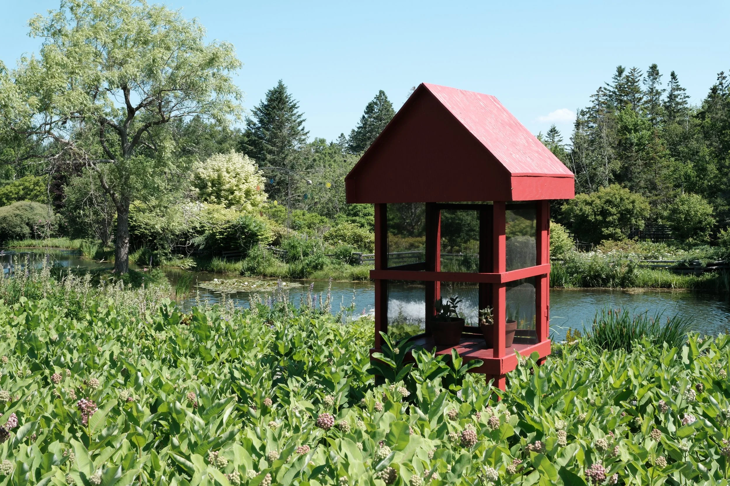 DSCF4963.JPG