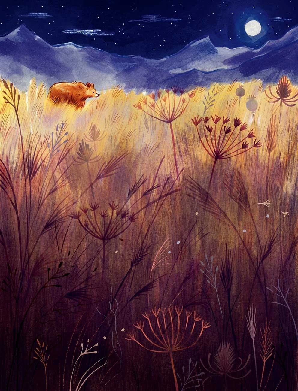 Bear-meadow-for-website.jpg