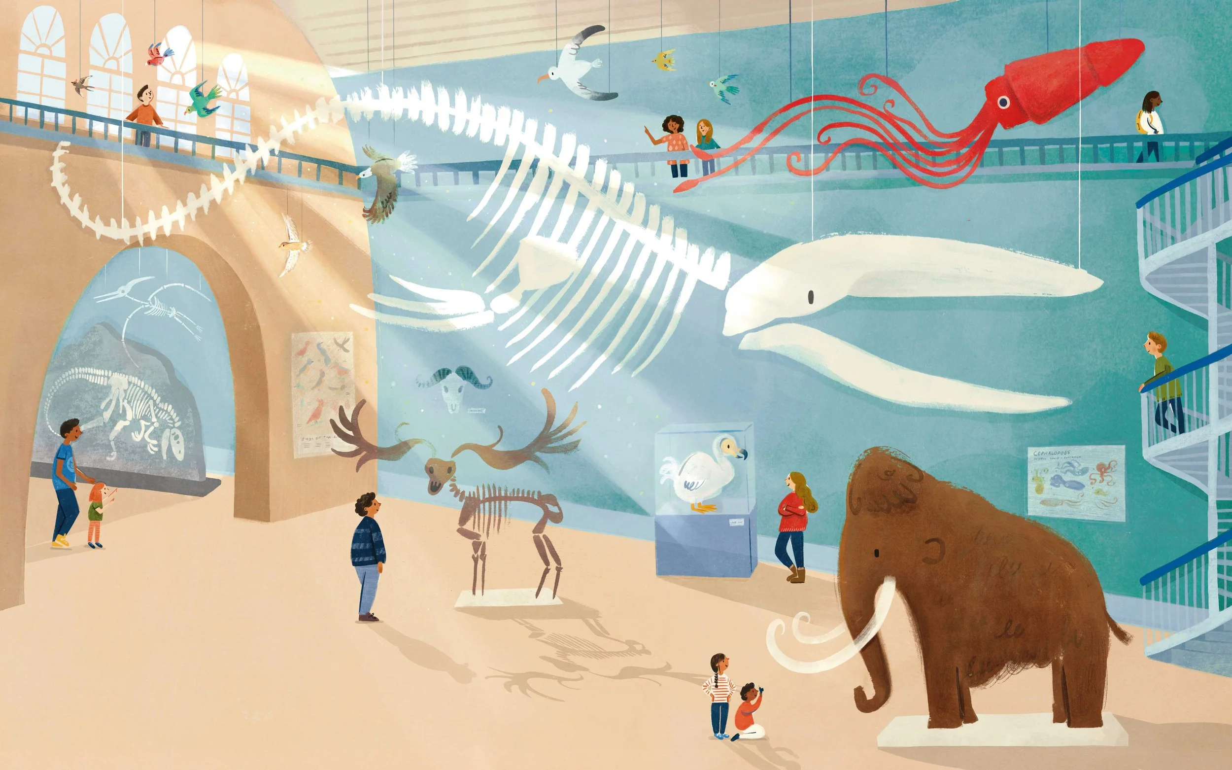 Natural-History-Museum.jpg