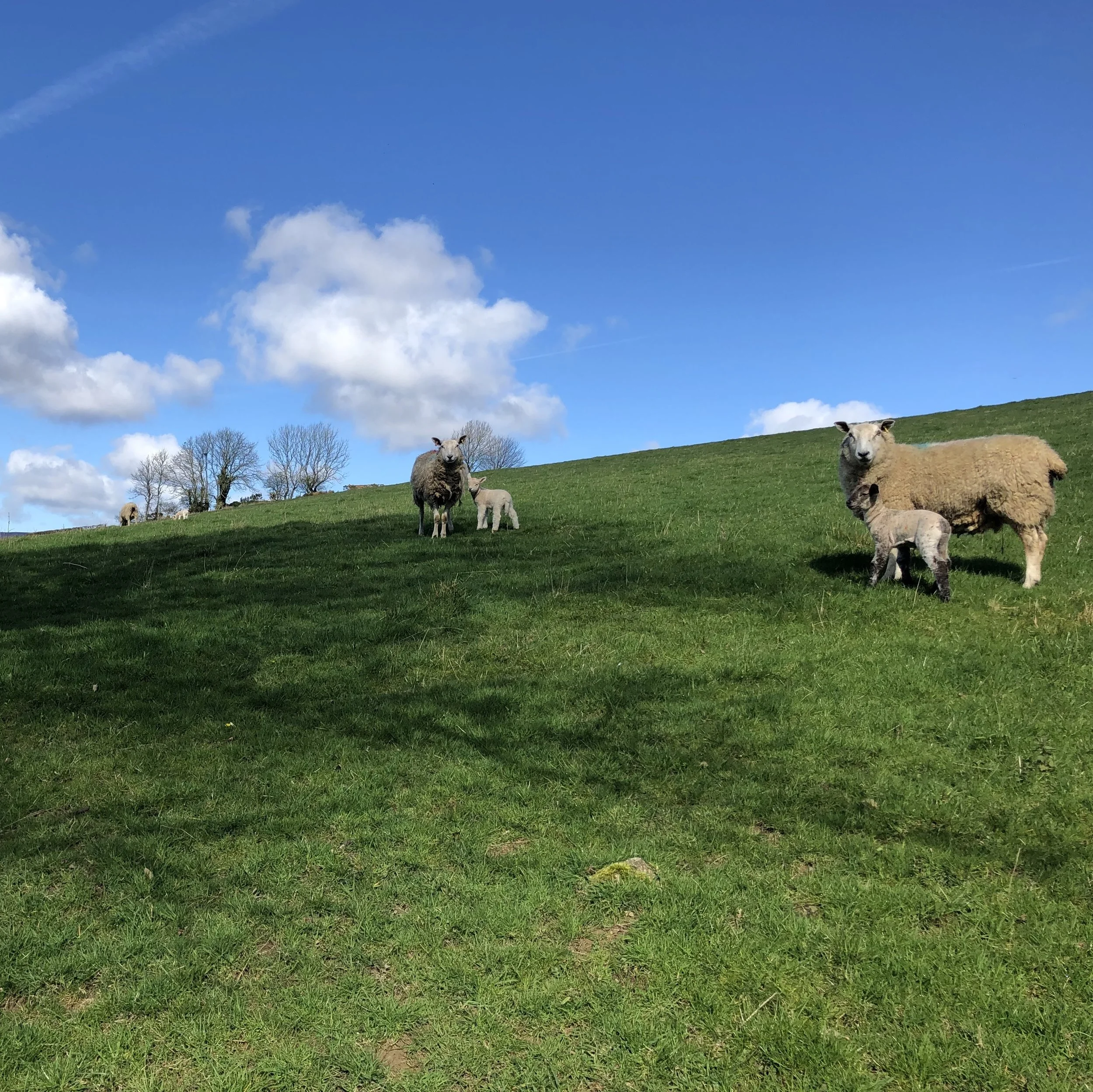 Spring is here!