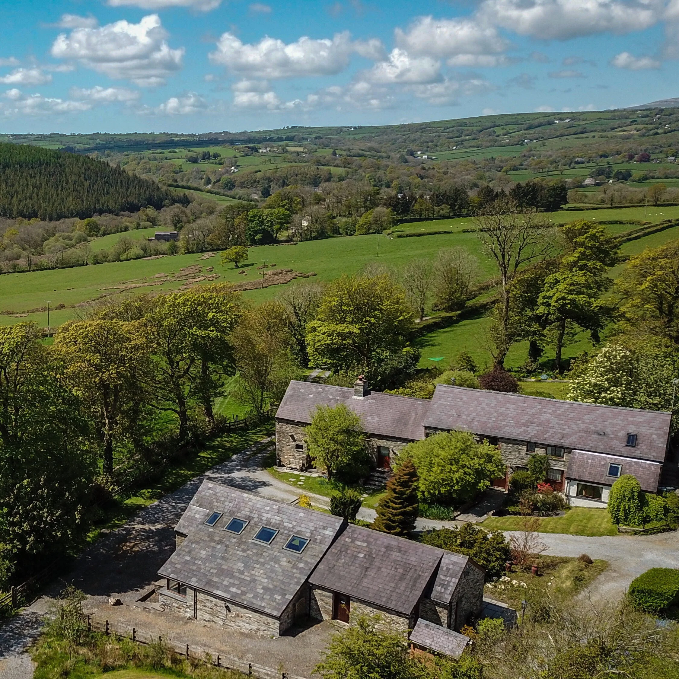 Summer summer summer time.