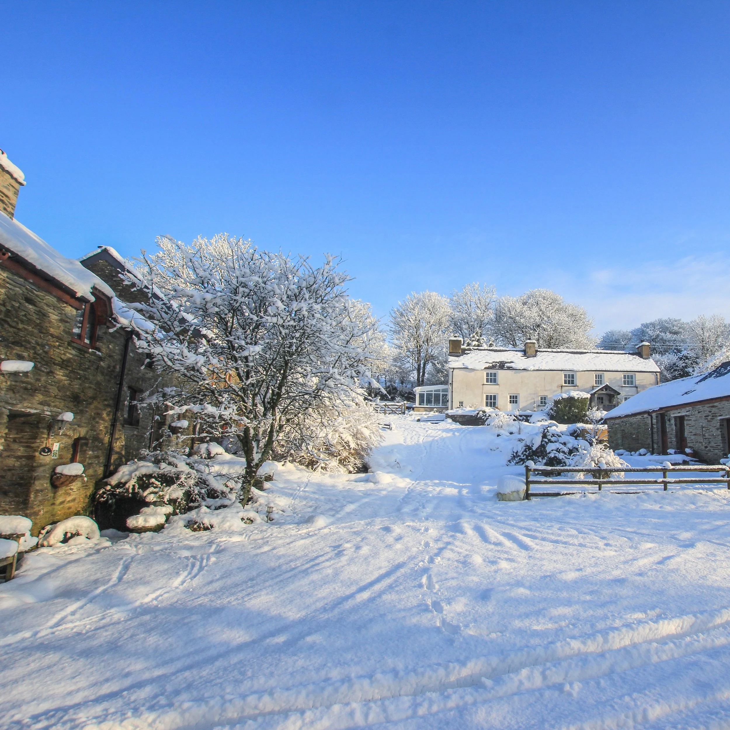 Is it too early to talk Christmas... 