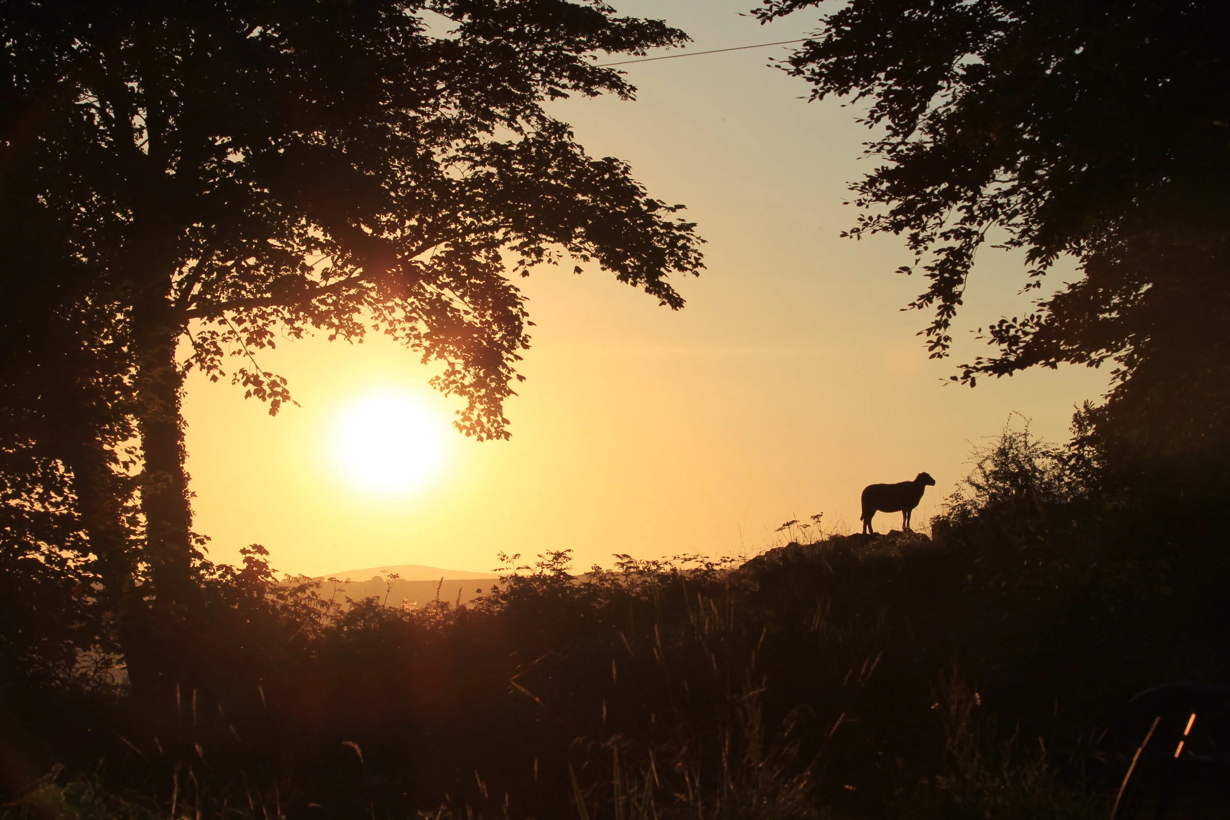 2020 A challenging year