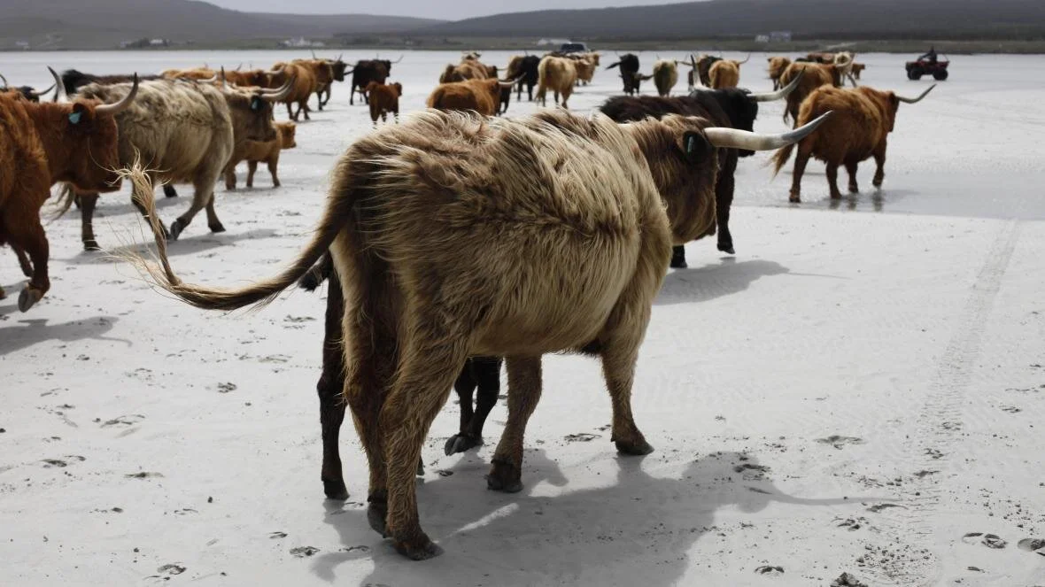 Once upon a time in a Hebridean Western