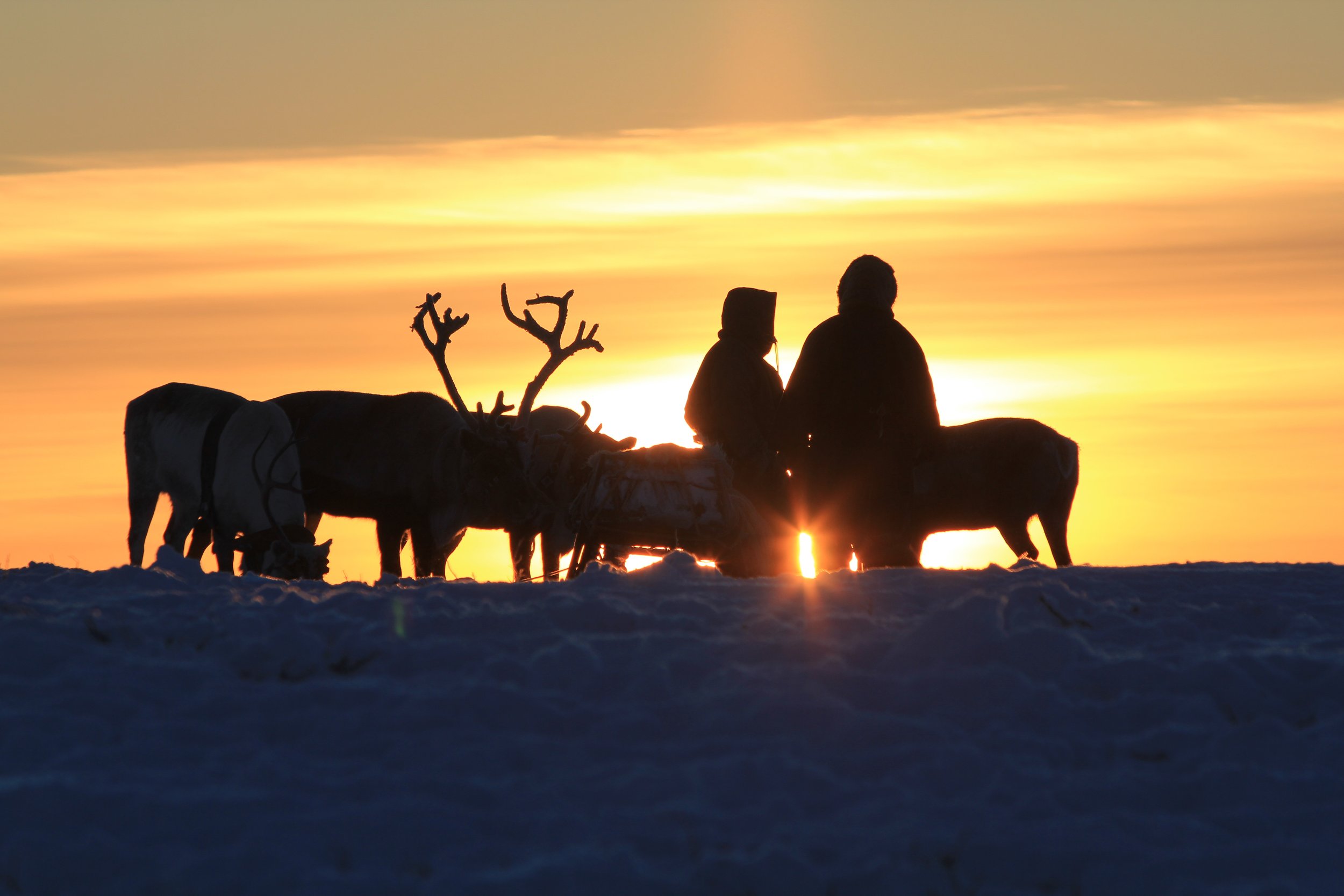 TrixPix-Cumhachd a' Yoik-Reindeer herders-Photo by Paul Simma.jpg