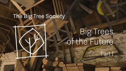 The Big Tree Society