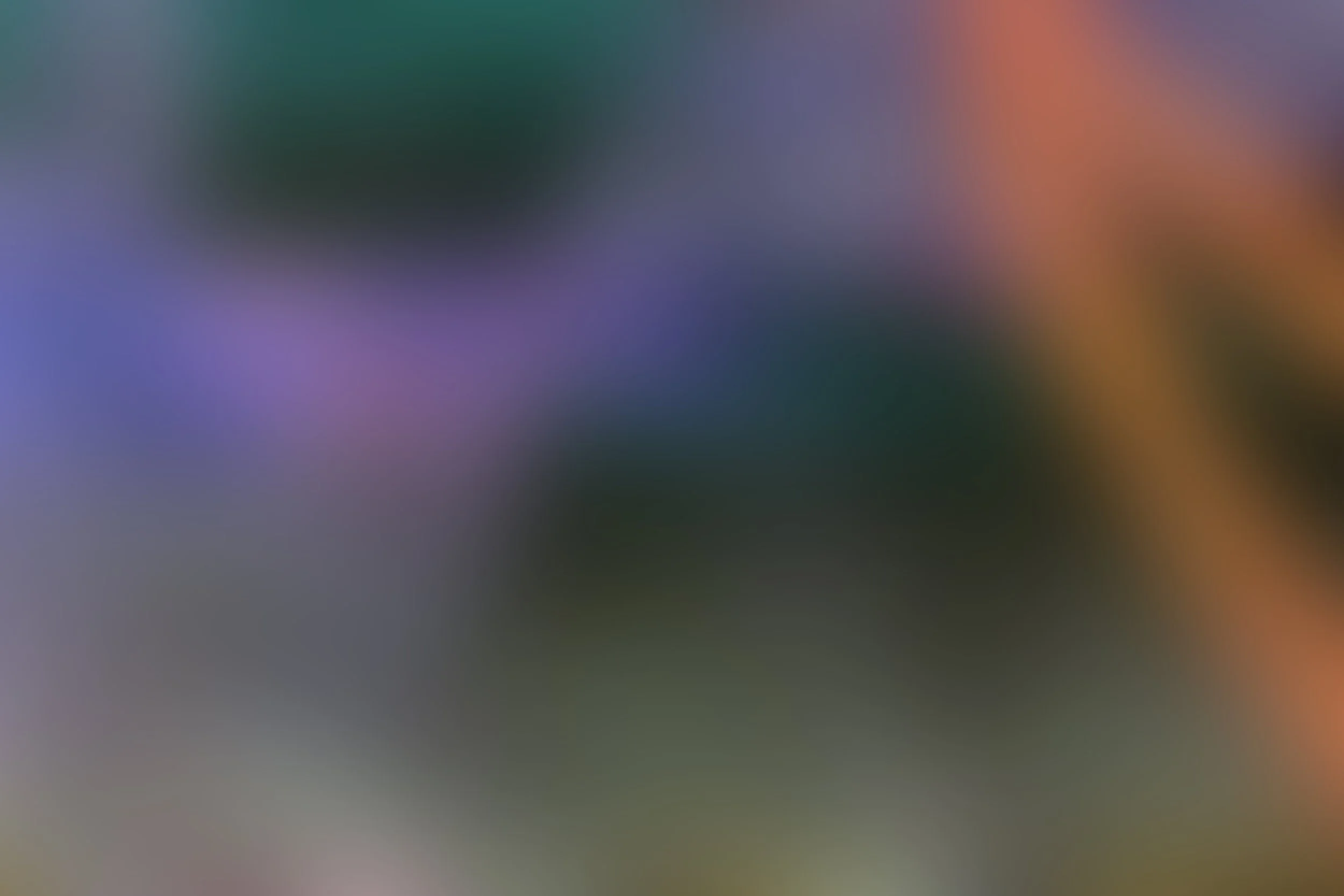 blurredDETAIL01 copy.jpg