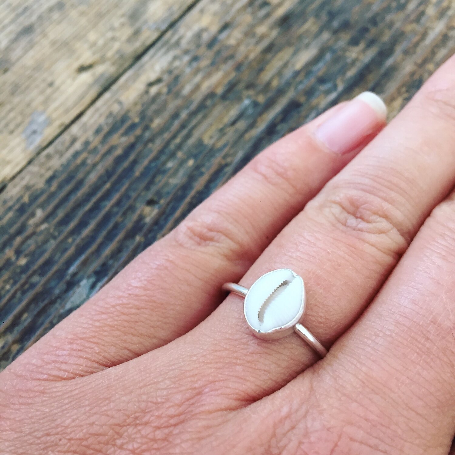 Natural Cowrie Shell Ring with twist*statement ring*Sterling Silver Ring*Bohemian Ring*Cowrie mermaid ring*Money Cowrie ring*seashell ring*