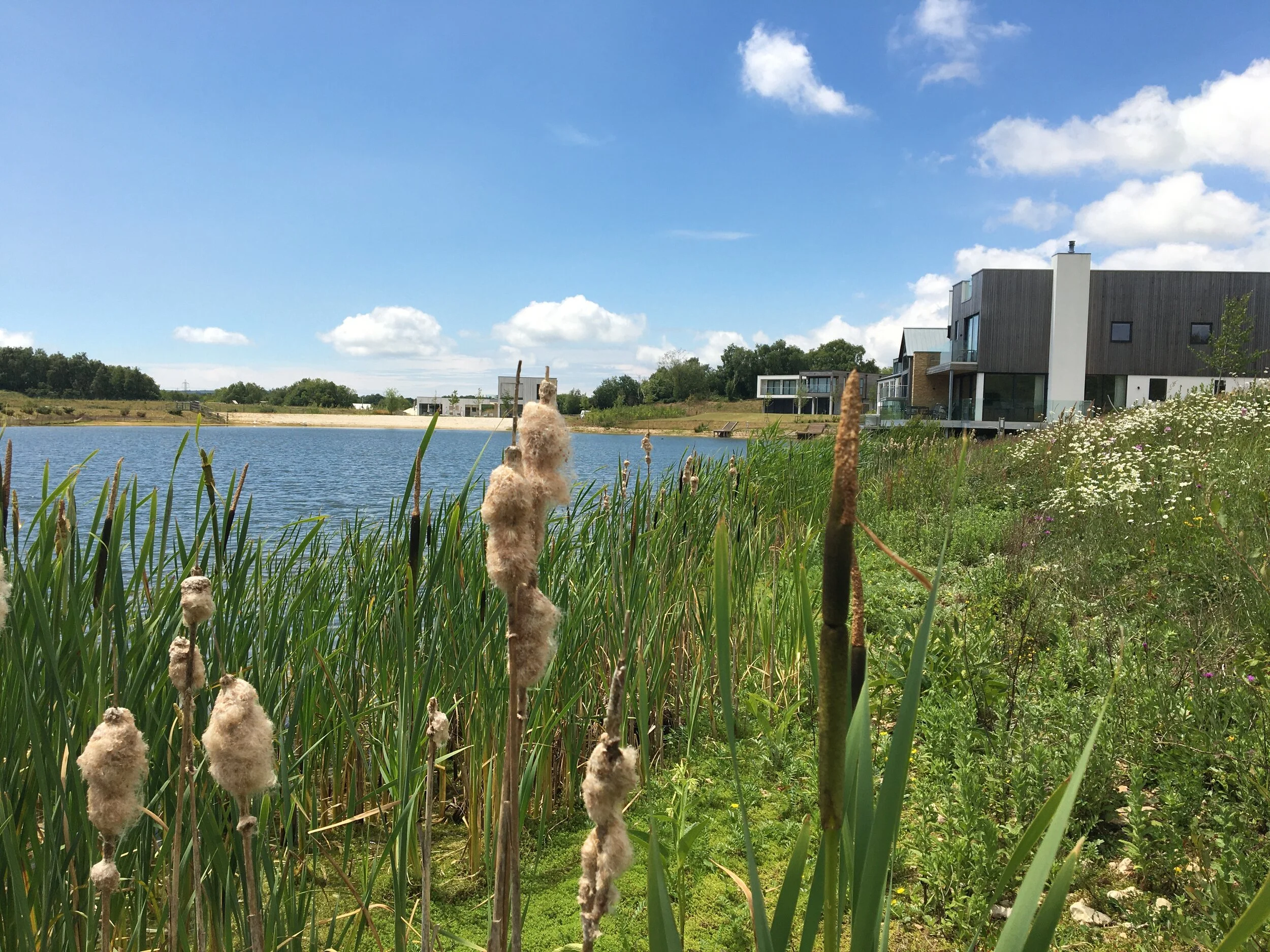 Why ‘Building with Nature’ is more important than ever