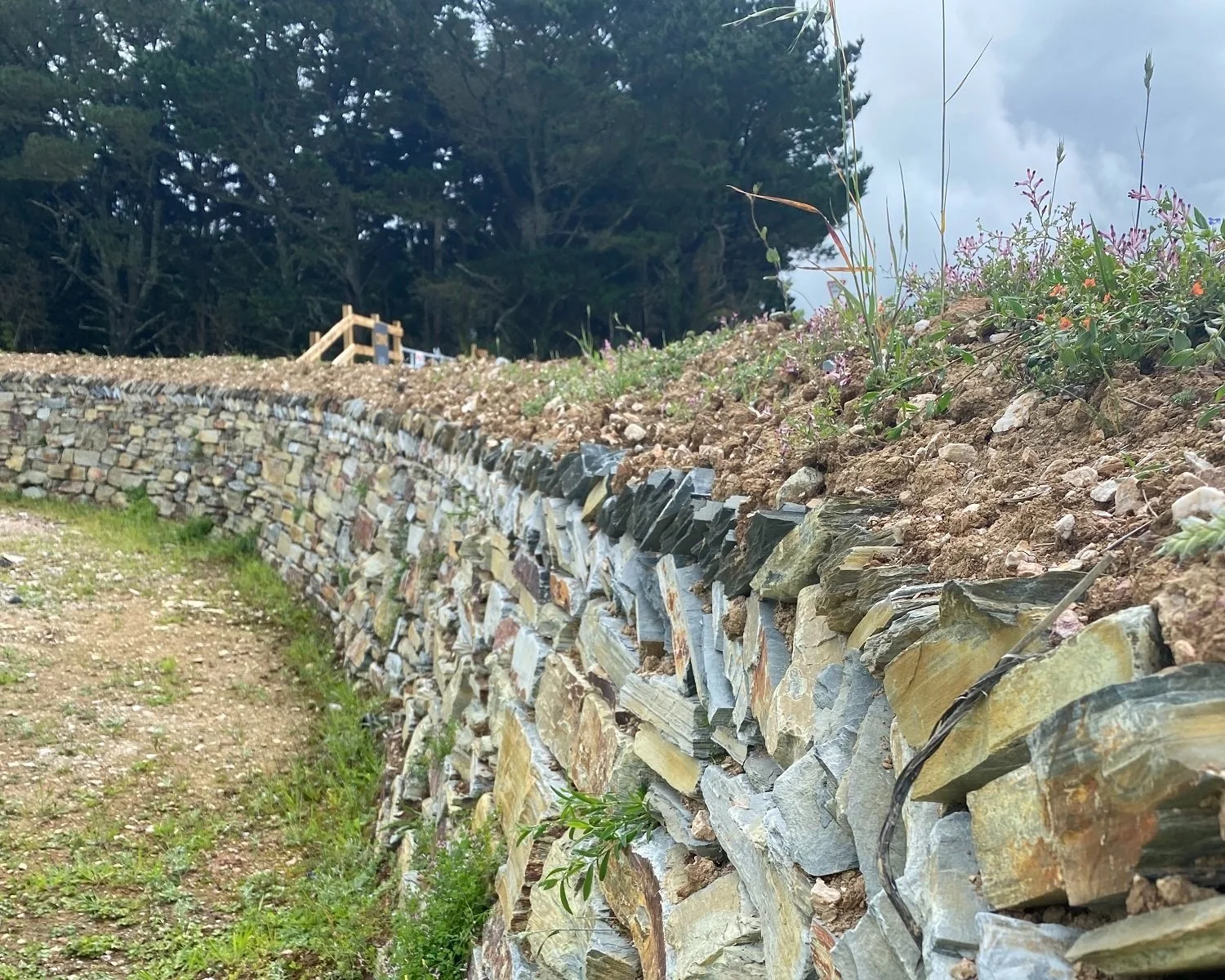 Green Infrastructure is Critical Infrastructure